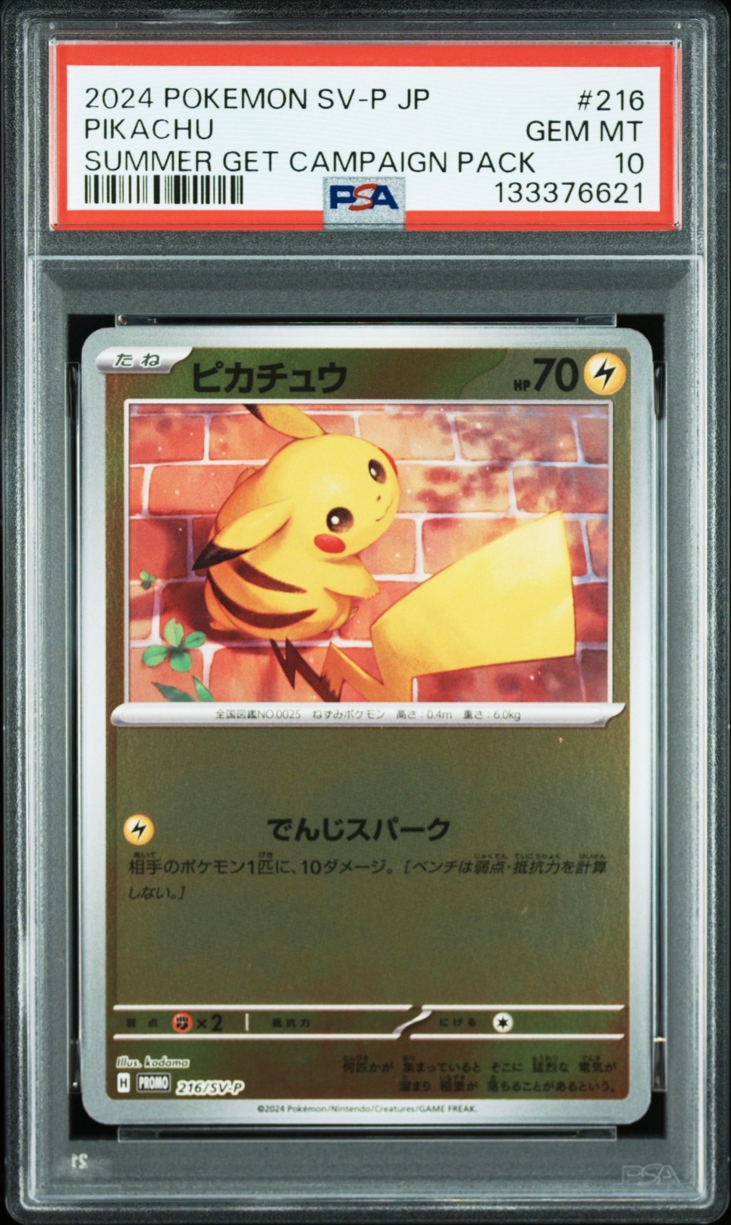 ピカチュウ P [SV-P 216](プロモカードパック「ポケカの夏がキタ!プロモカードGetキャンペーン!」)