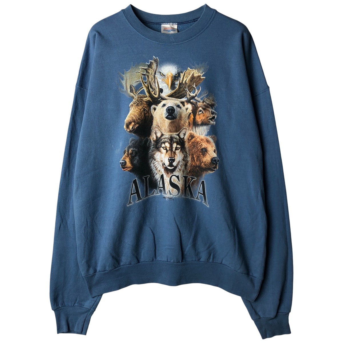 古着 ヘインズ Hanes アニマル スウェットシャツ トレーナー メンズL相当/eaa482340