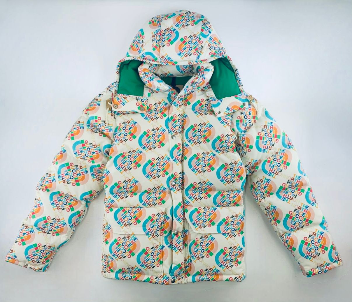 【未使用】GUCCI × THE NORTH FACE ダウンジャケット