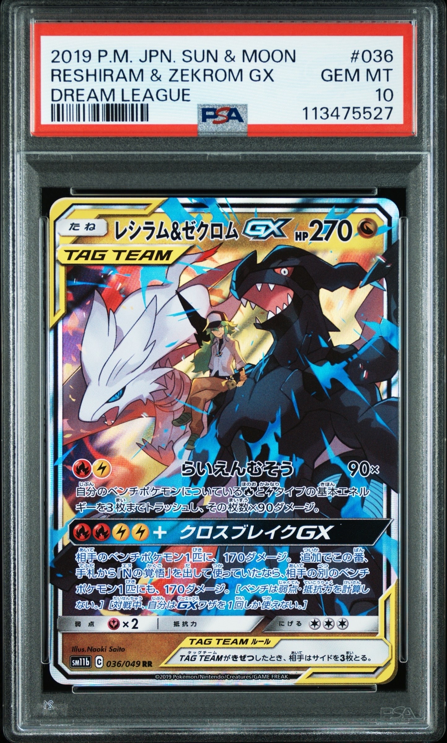 レシラム&ゼクロムGX (N) RR[SM11b 036/049](強化拡張パック「ドリームリーグ」)