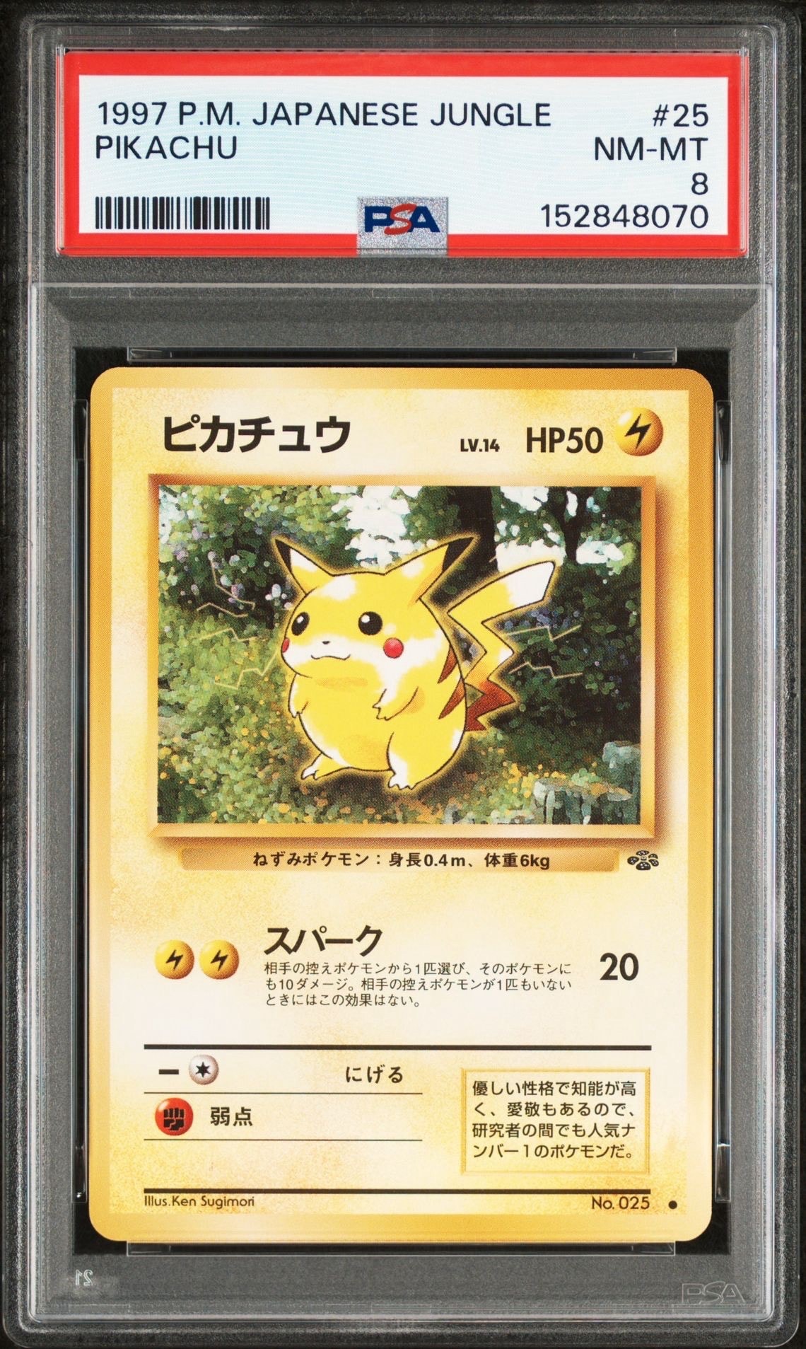 ピカチュウ ● : 旧裏 [PMCG2 No.025](拡張パック「ポケモンジャングル」)