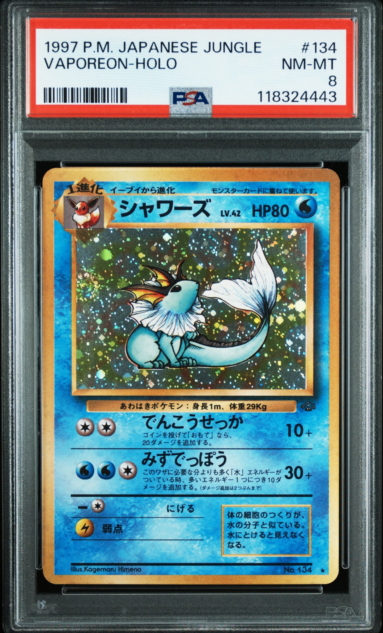 シャワーズ R: 旧裏 [PMCG2 No.134] PSA9 シャワーズ R: 旧裏 [PMCG2 No.134](拡張パック「ポケモンジャングル
