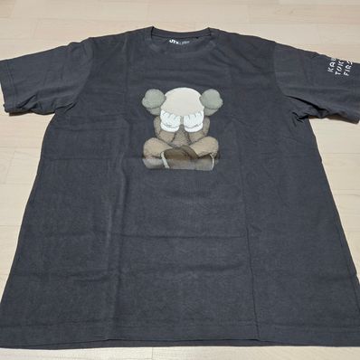 Kaws UT Graphic Tee "Dark Gray"