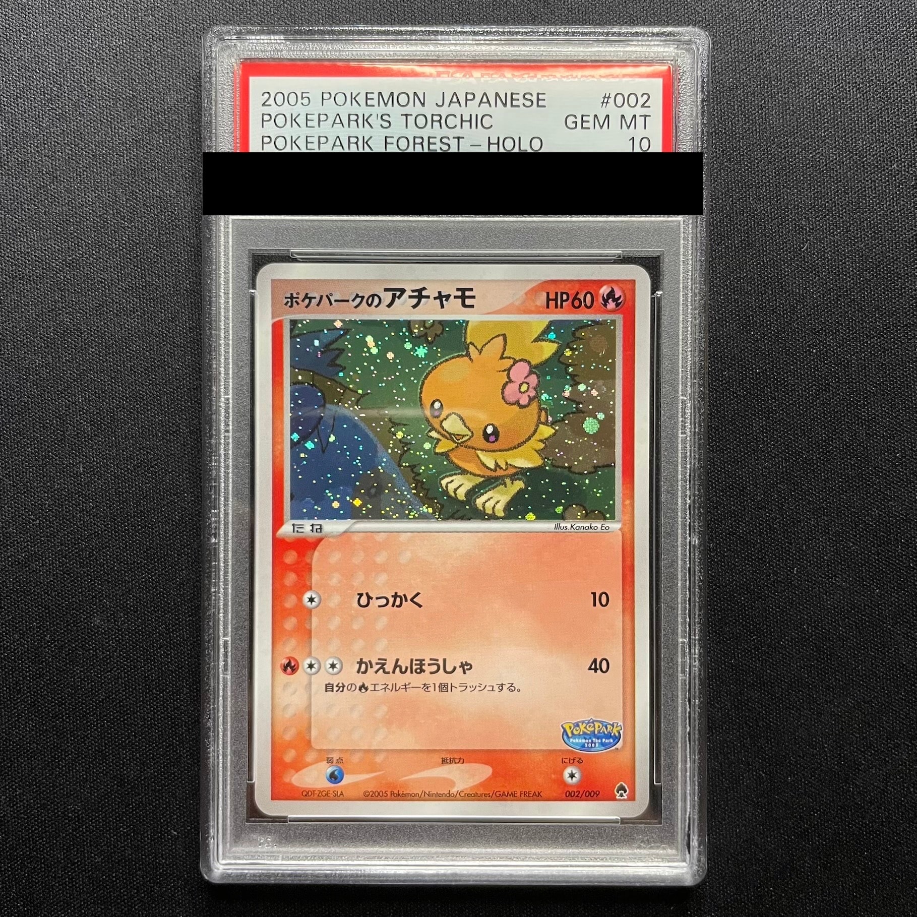 ポケパークのアチャモ [PCG 002/009](ポケパークプレミアムファイル