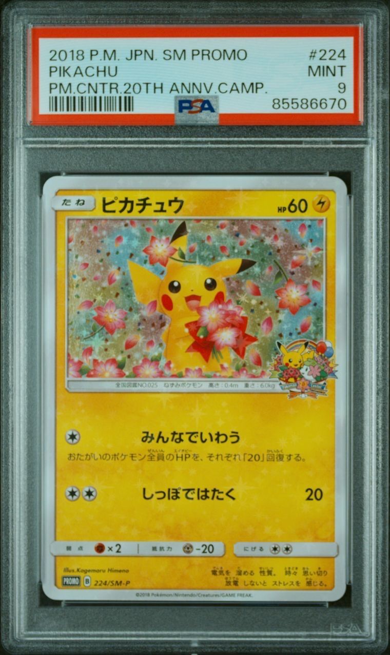 ピカチュウ: プロモ[SM-P 224](プロモーションカード「SM-P」)