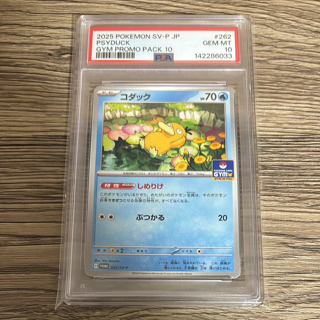 PSA10】コダック P [SV-P 262](プロモカードパック「第10弾」) 1枚の