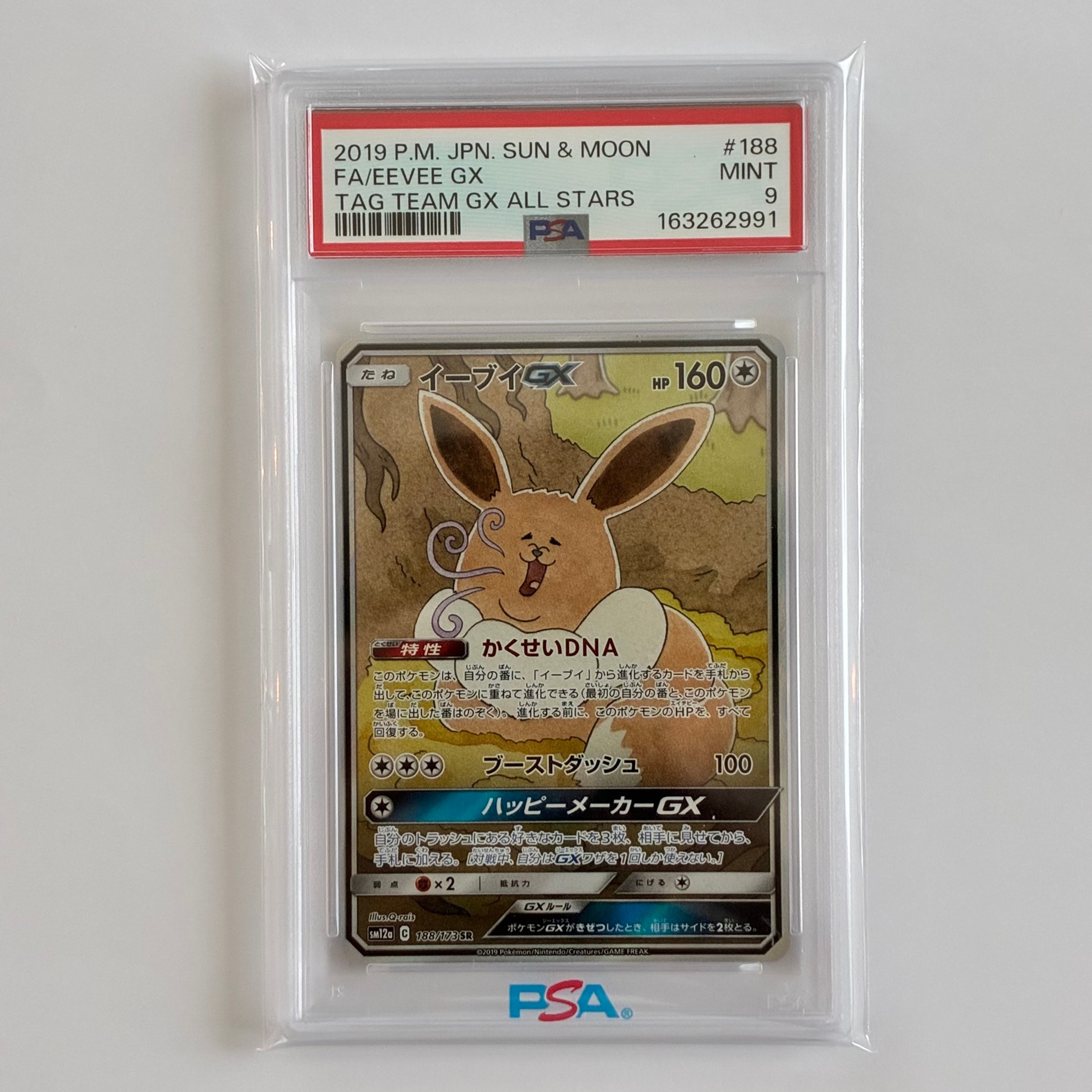 イーブイGX sr sa イーブイGX SA 【公式通販】