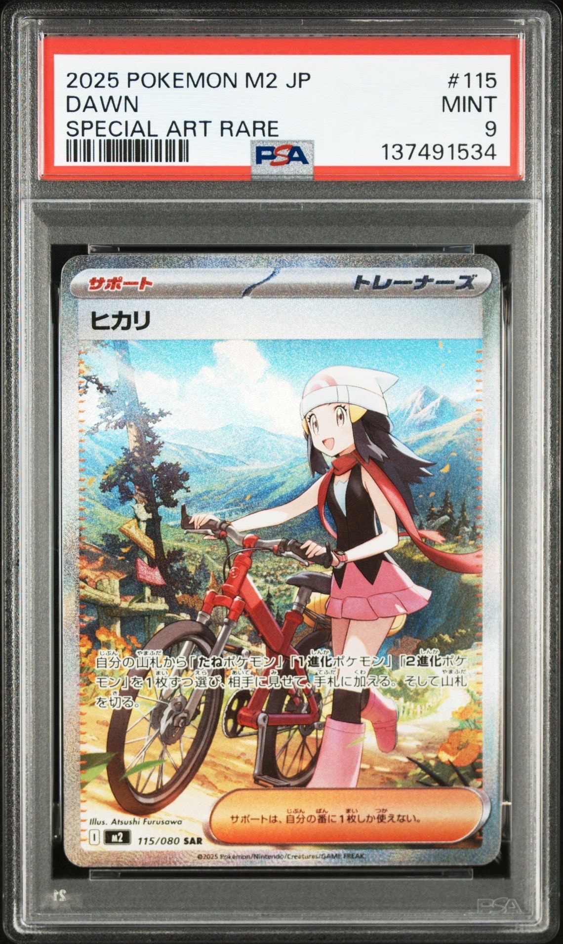 ヒカリ SAR [M2 115/080](拡張パック「インフェルノX」)