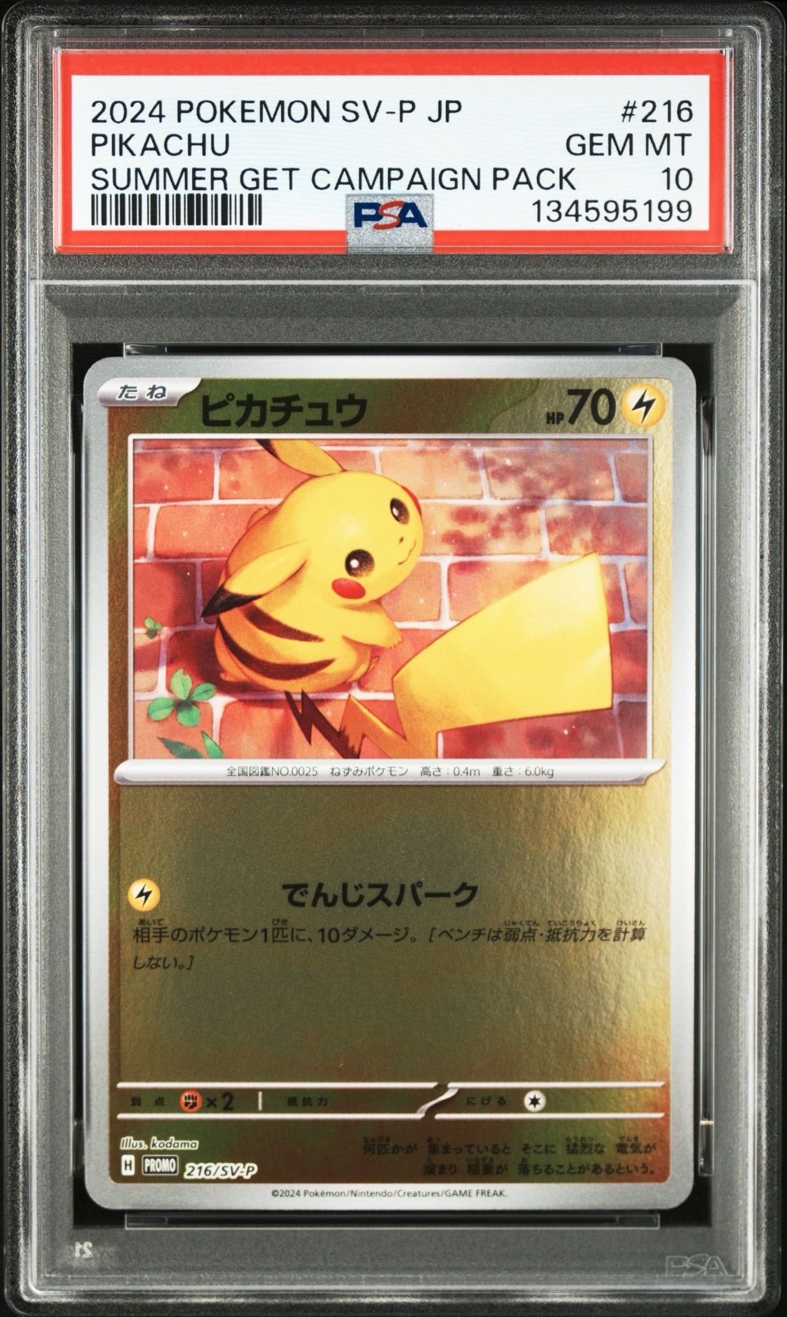 ピカチュウ P [SV-P 216](プロモカードパック「ポケカの夏がキタ!プロモカードGetキャンペーン!」)