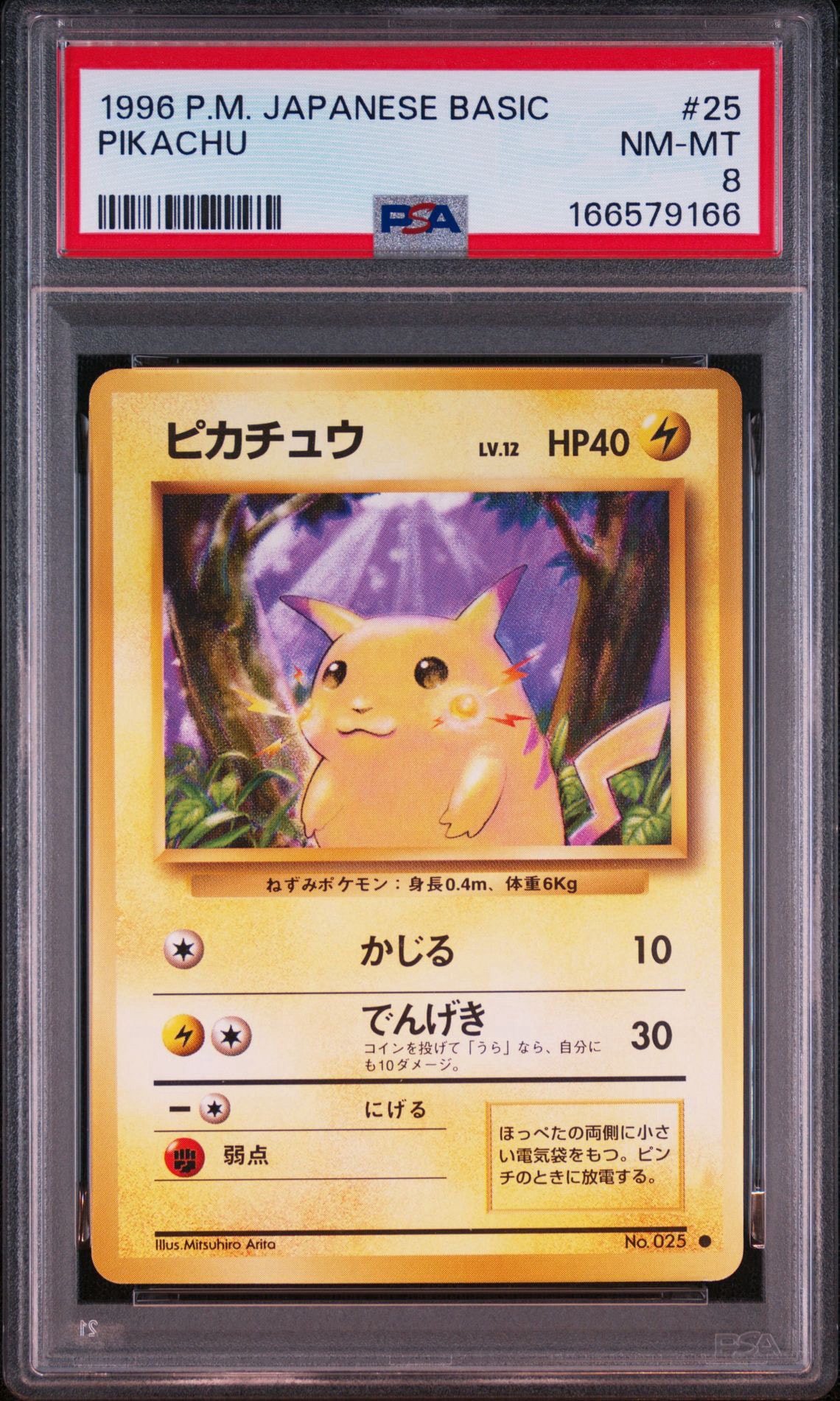 ピカチュウ ● : 旧裏 [PMCG1-2](拡張パック「ポケットモンスター カードゲーム」再販)