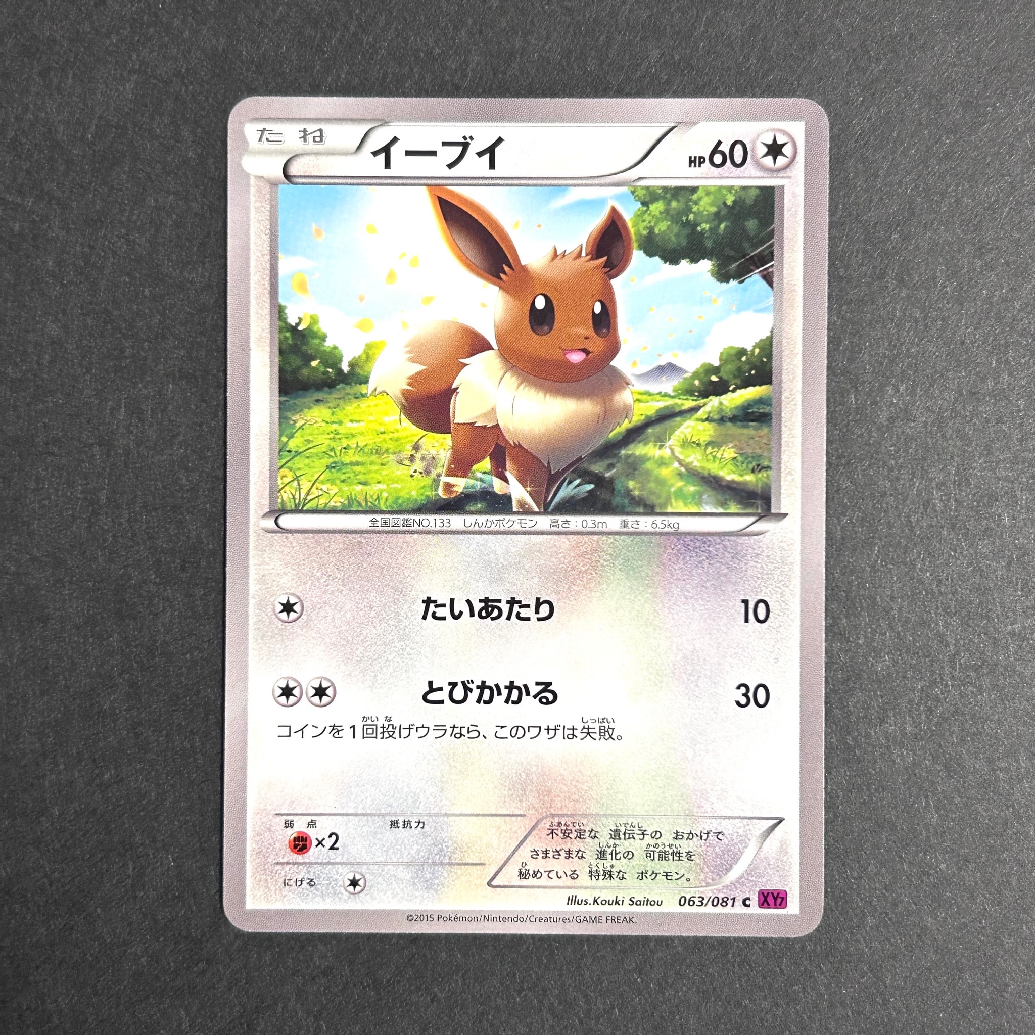 イーブイ C [XY7 063/081](拡張パック「バンデットリング」)通販・買取