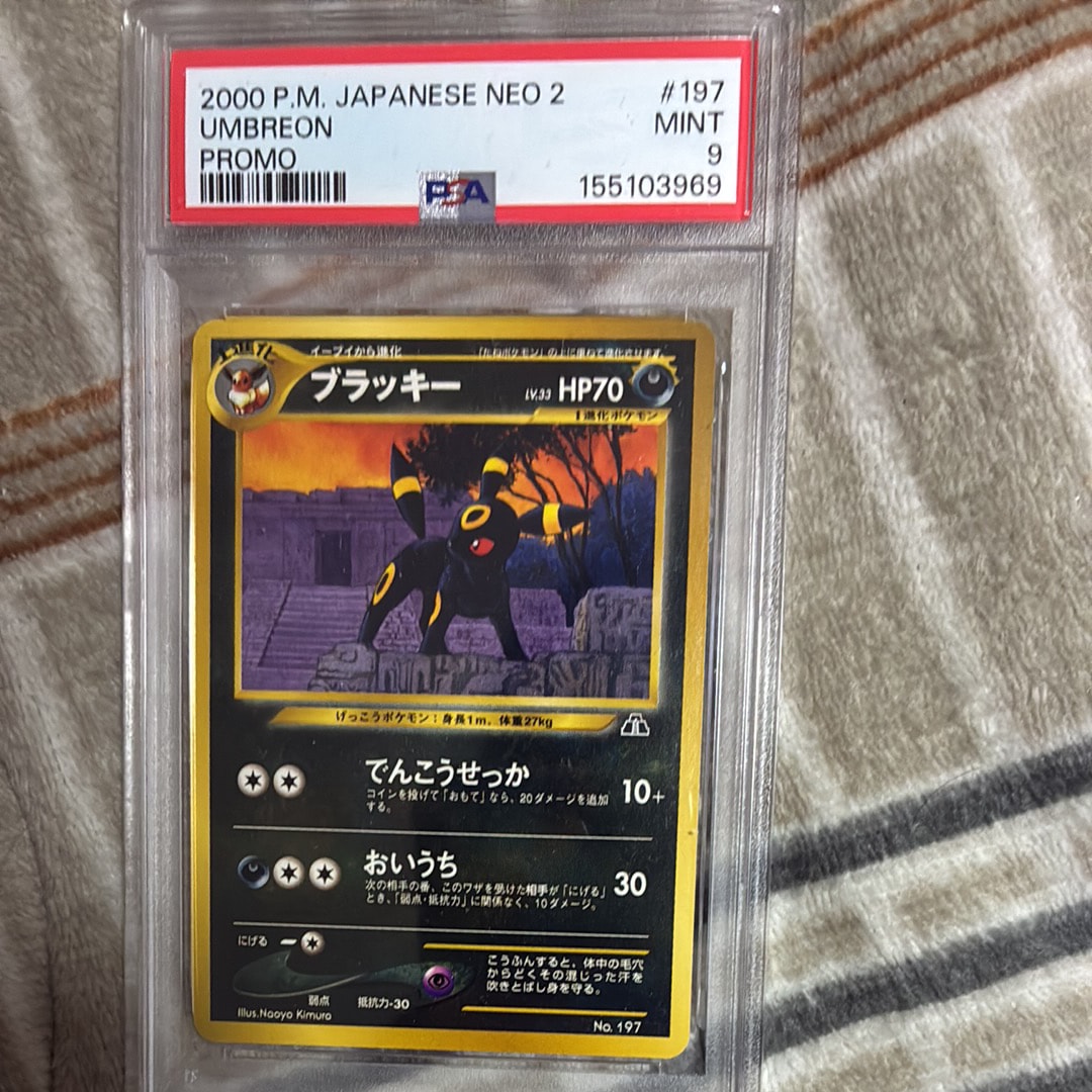ブラッキー_プレミアムファイル2 PROMO 第2世代（★neo・★VS・★w… ブラッキー_プレミアムファイル2 PROMO 第2世代（☆neo・☆VS・☆w