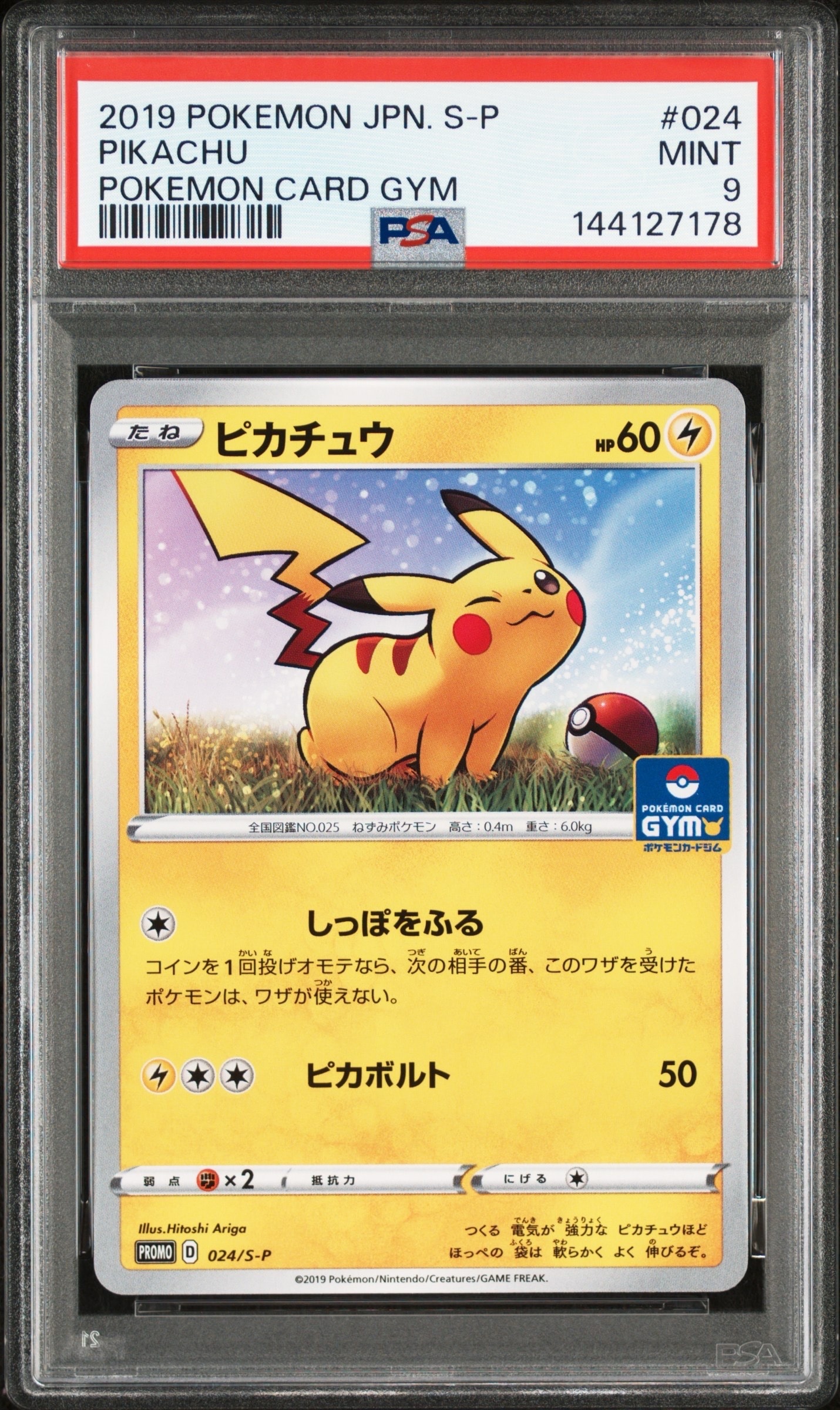 ピカチュウ: プロモ P [S-P 024](ポケモンカードゲーム ソード