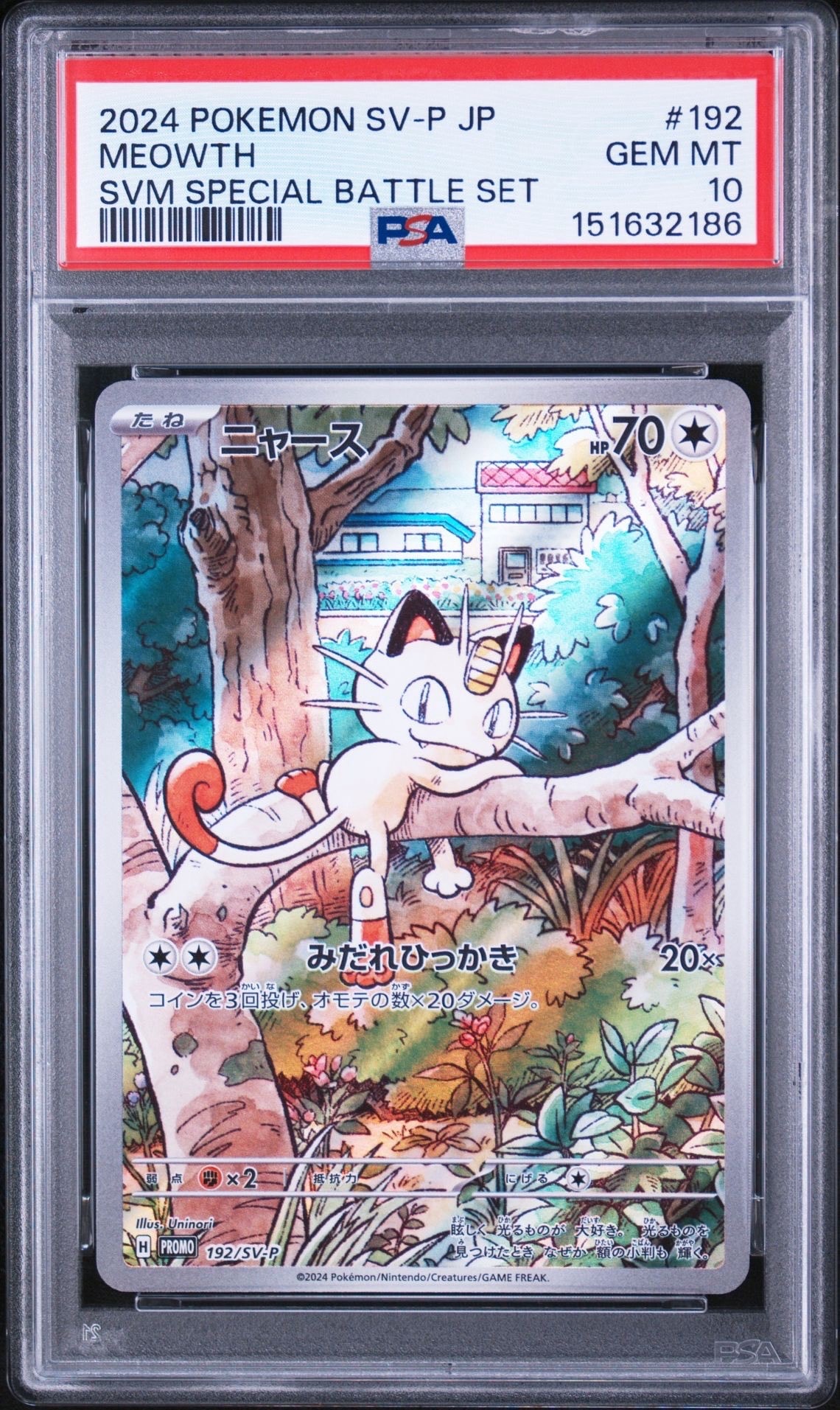 オーダイル [SV-P 241](プロモカードパック「イラストレーション