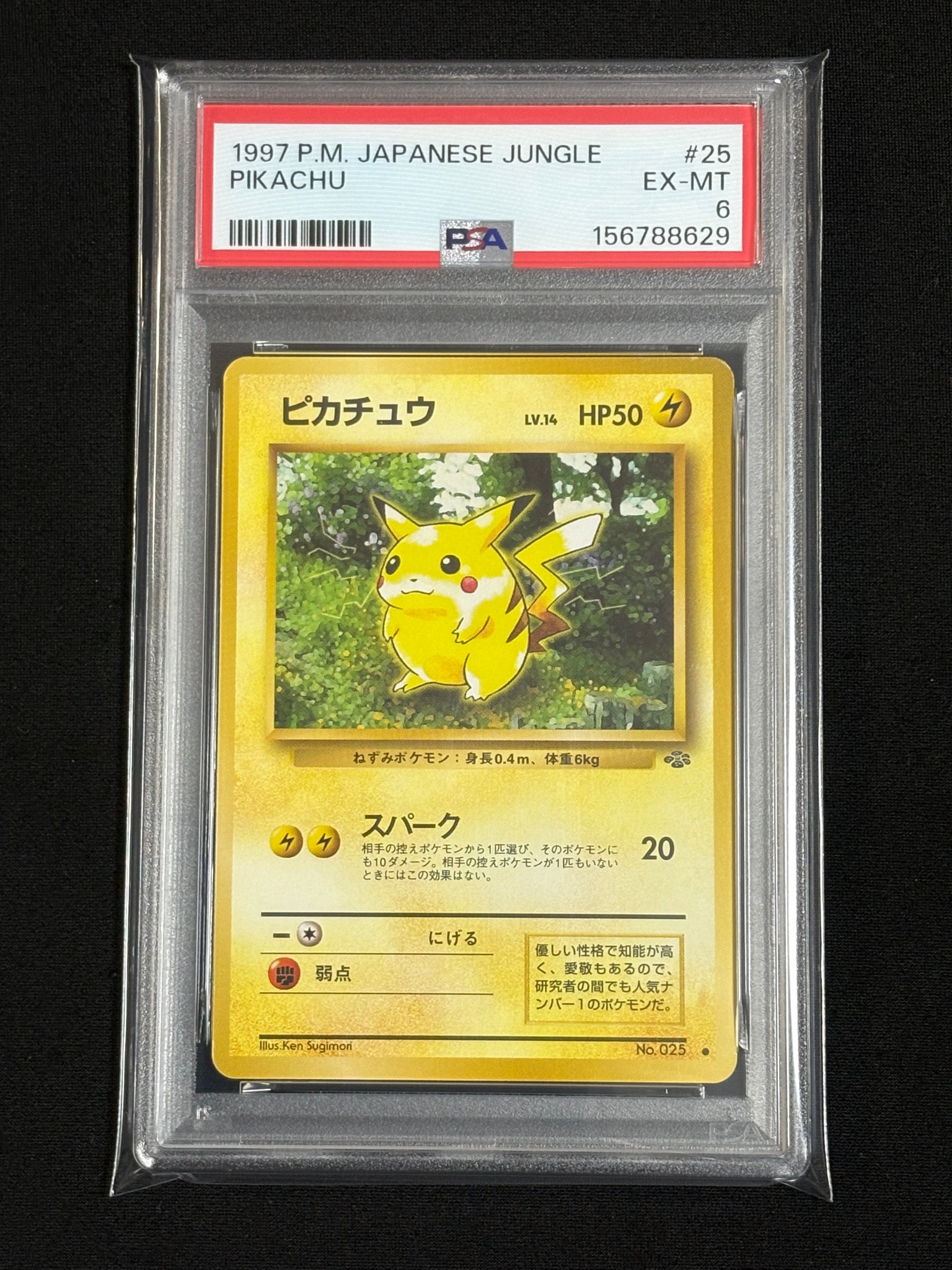ピカチュウ ● : 旧裏 [PMCG2 No.025](拡張パック「ポケモンジャングル」)