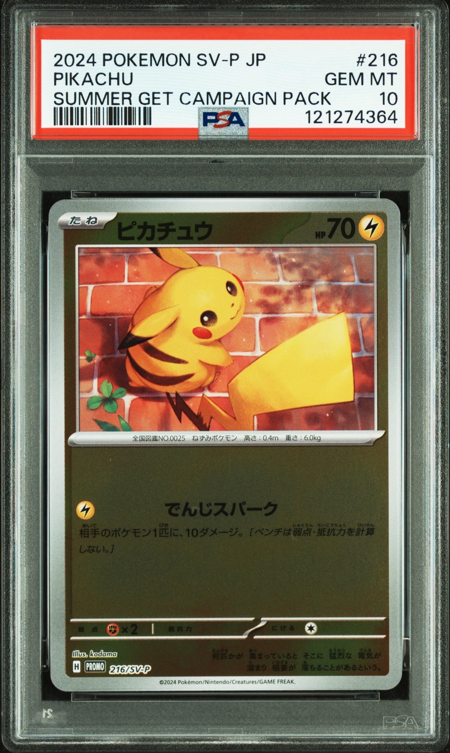 ピカチュウ P [SV-P 216](プロモカードパック「ポケカの夏がキタ!プロモカードGetキャンペーン!」)