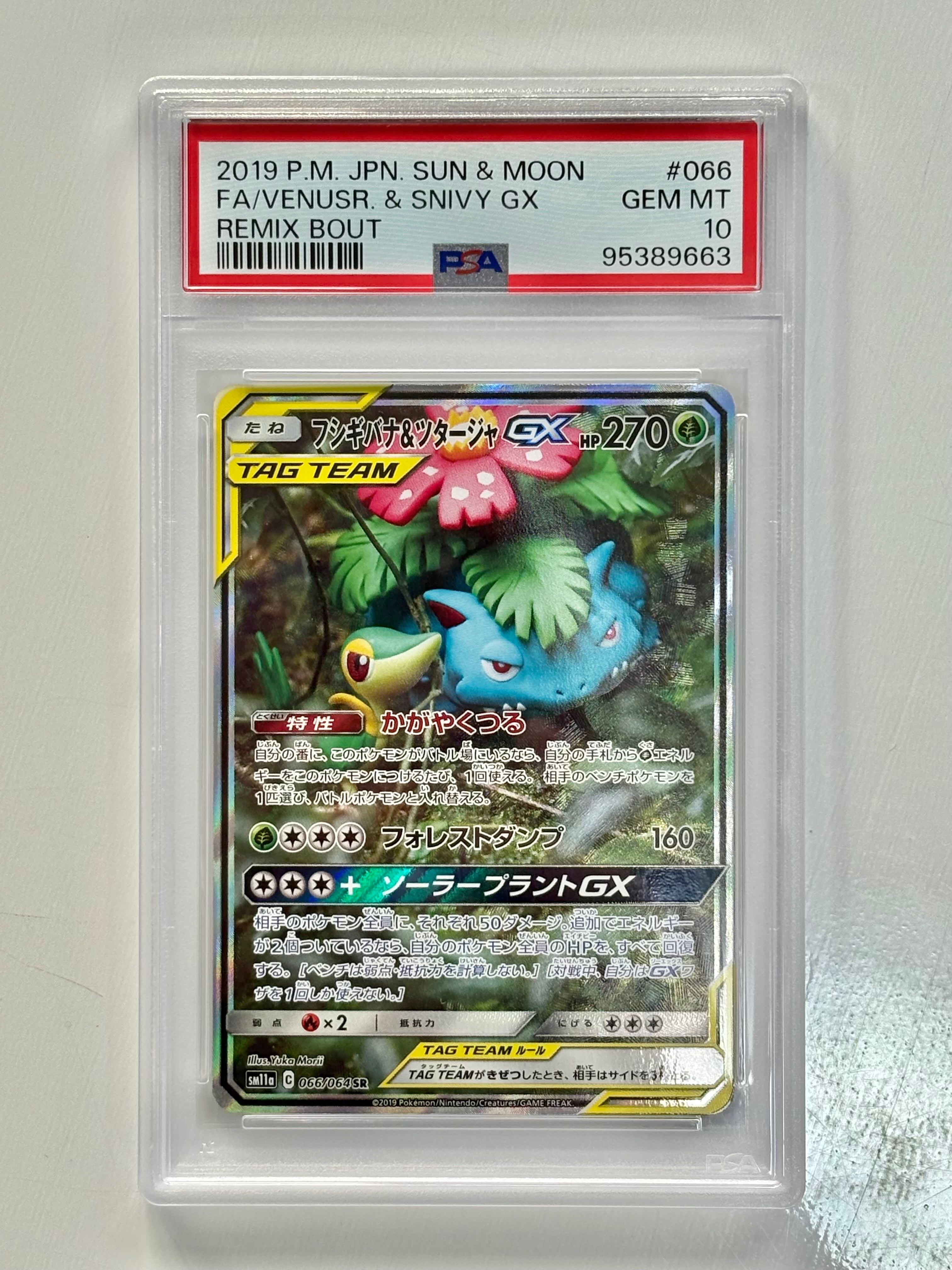 フシギバナ&ツタージャGX SR: SA[SM11a 066/064](強化拡張パック