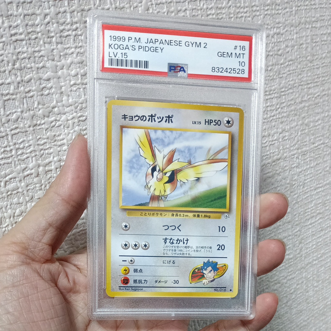 PSA10】キョウのポッポ ○ : 旧裏 [PMCG-G2 No.016](ジム拡張第2弾「闇