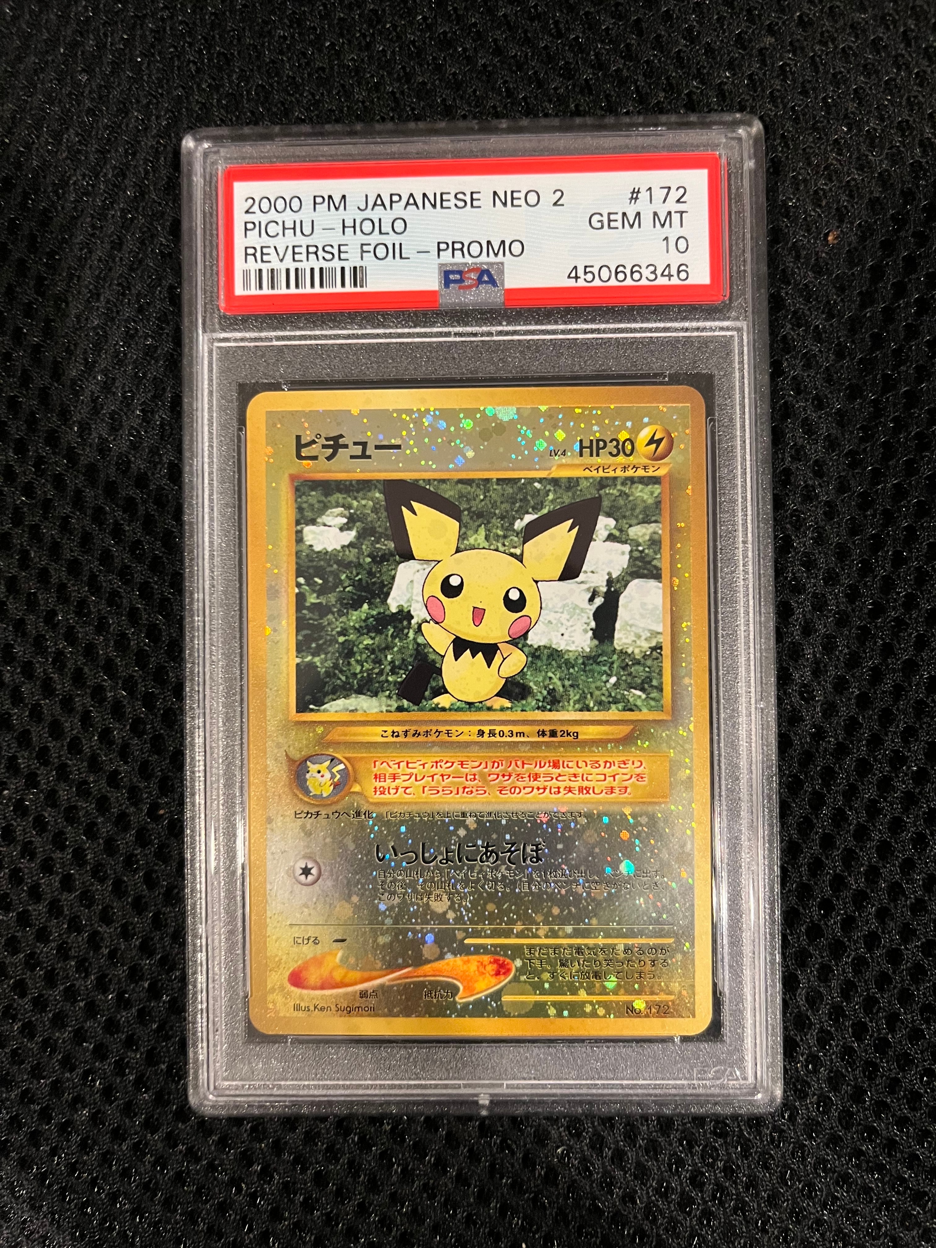 ピチュープレミアムファイル2: 旧裏[neoP2 No.172](プレミアムファイル2)