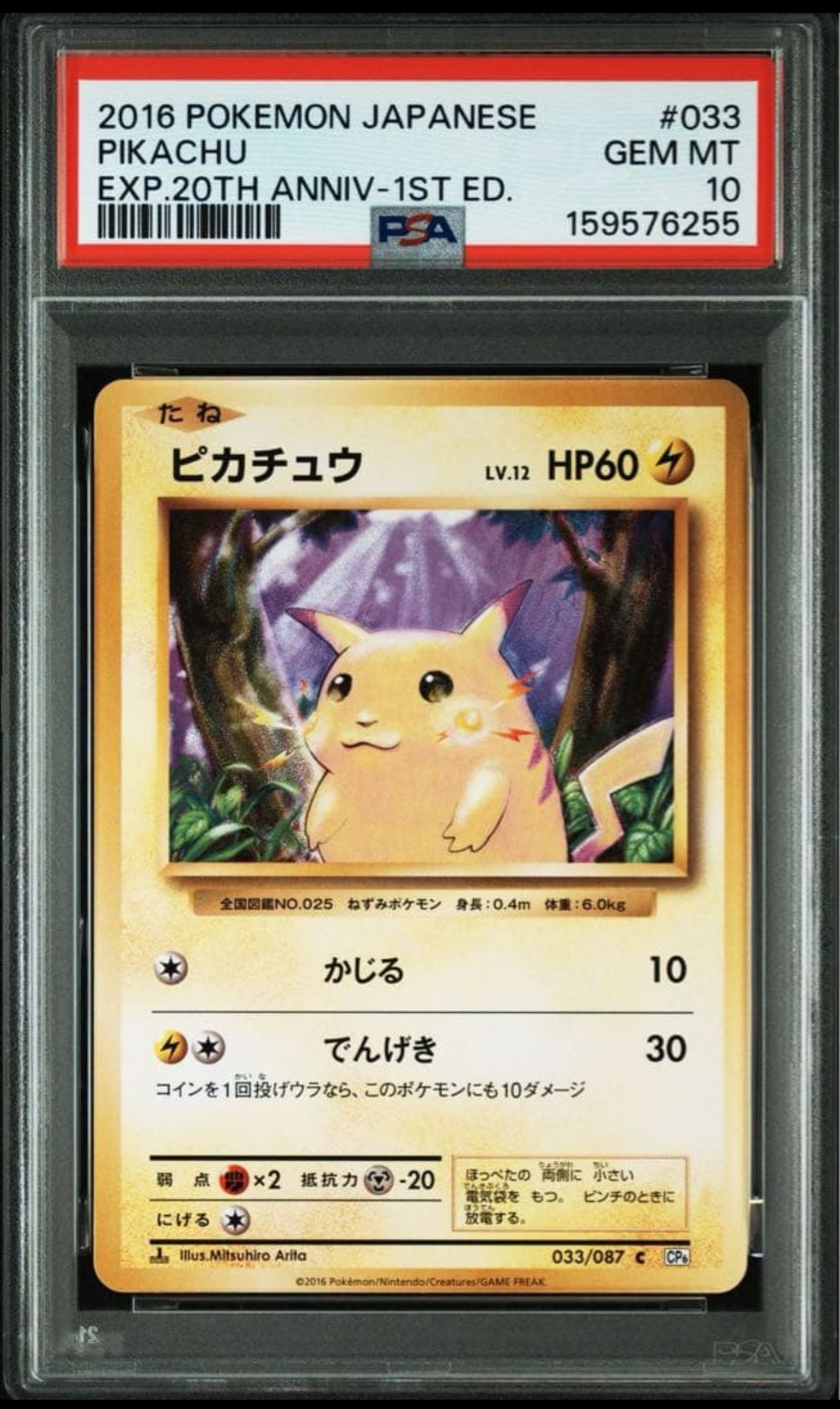 ピカチュウ C :1ED [CP6 033/087](コンセプトパック「ポケットモンスターカードゲーム 拡張パック 20th Anniversary」)