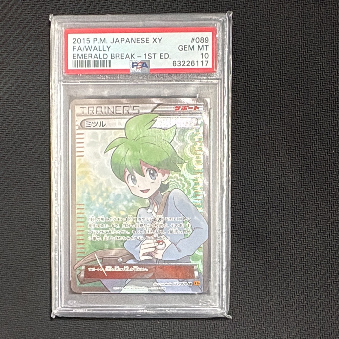 テールナー CHR [s11a 069/068](強化拡張パック『白熱のアルカナ』)の