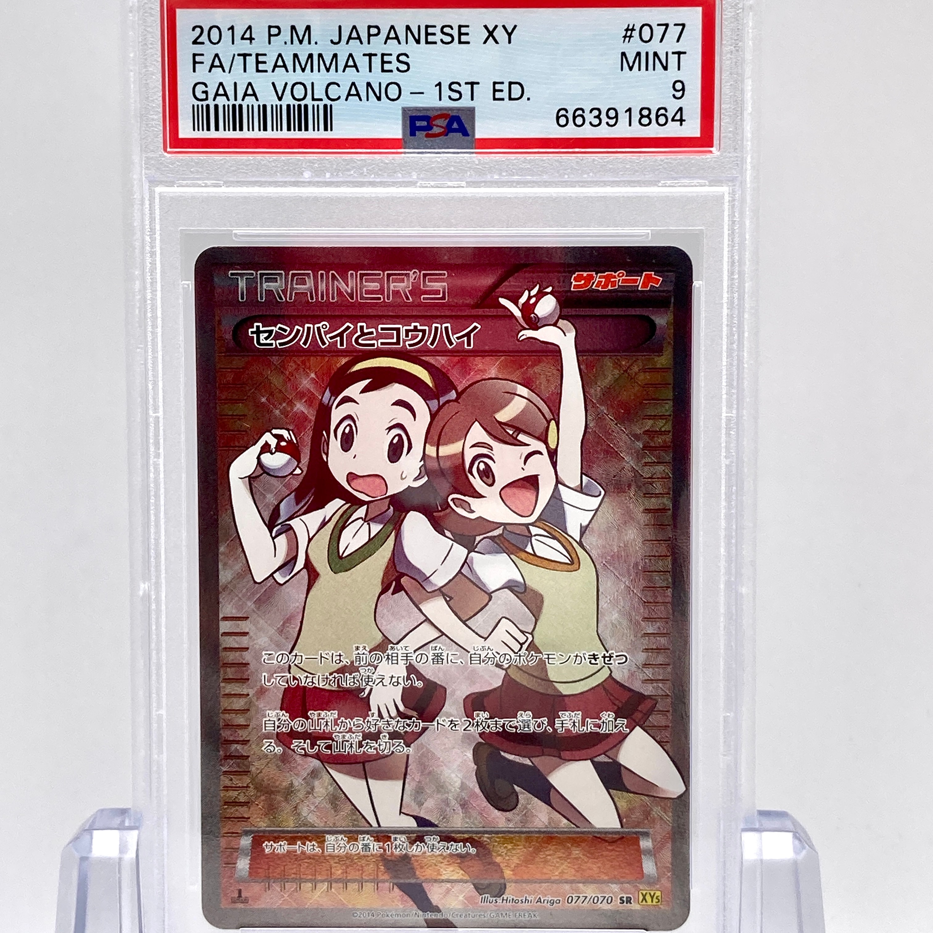センパイとコウハイ SR :1ED [XY5-G 077/070](拡張パック「ガイア