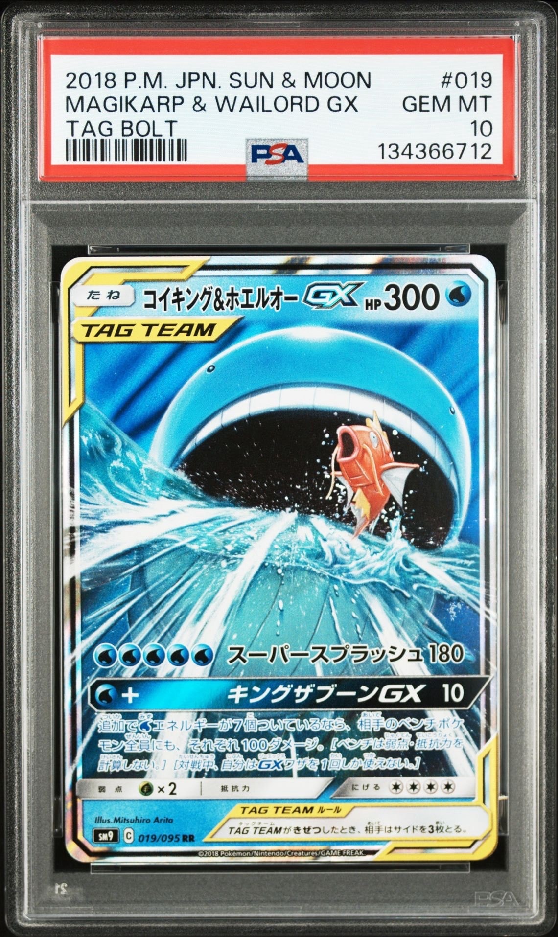 コイキング&ホエルオーGX RR [SM9 019/095](拡張パック「タッグボルト」)