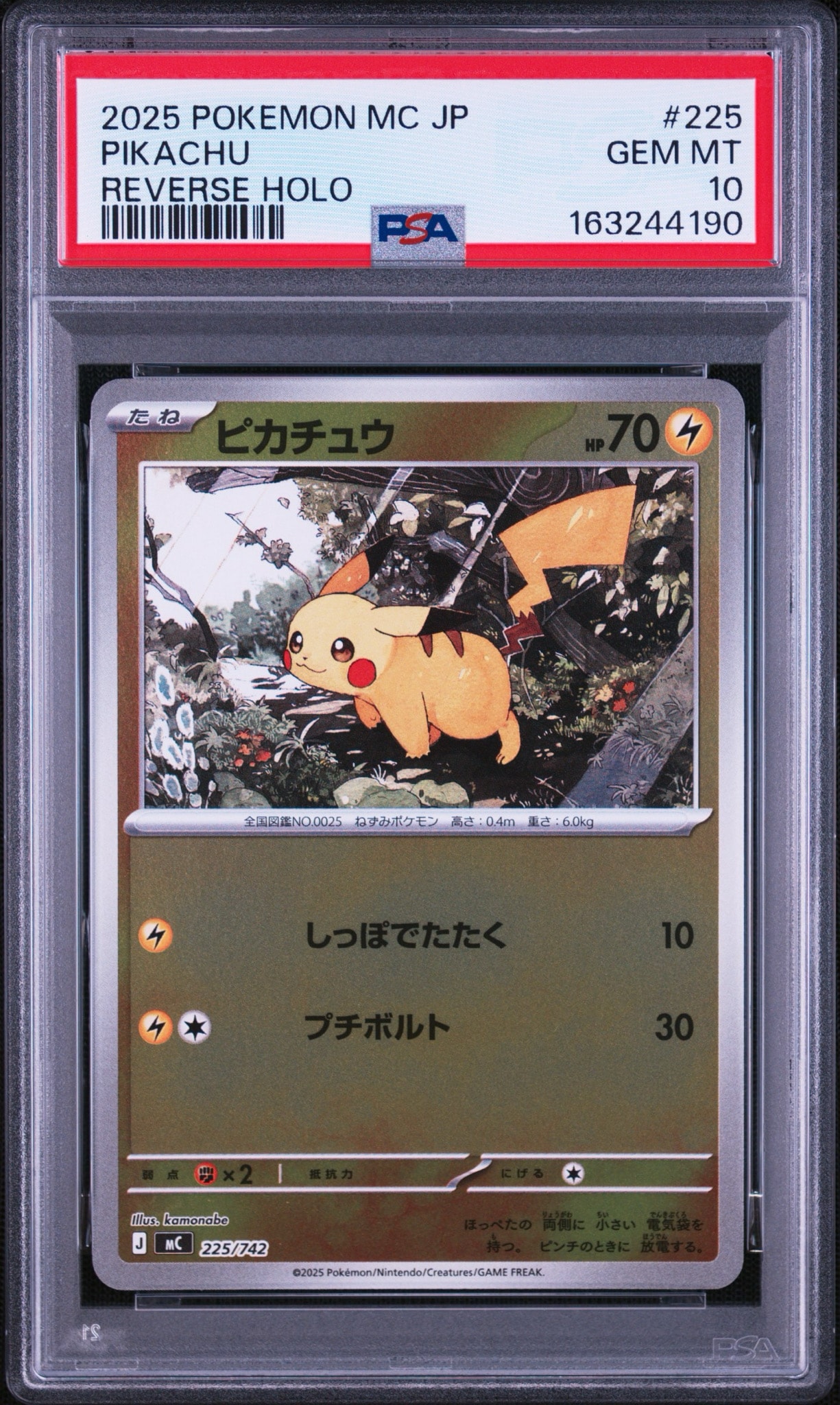 PSA10 連番 ポケモン スタートデッキ100 ピカチュウ ライチュウ ミラー