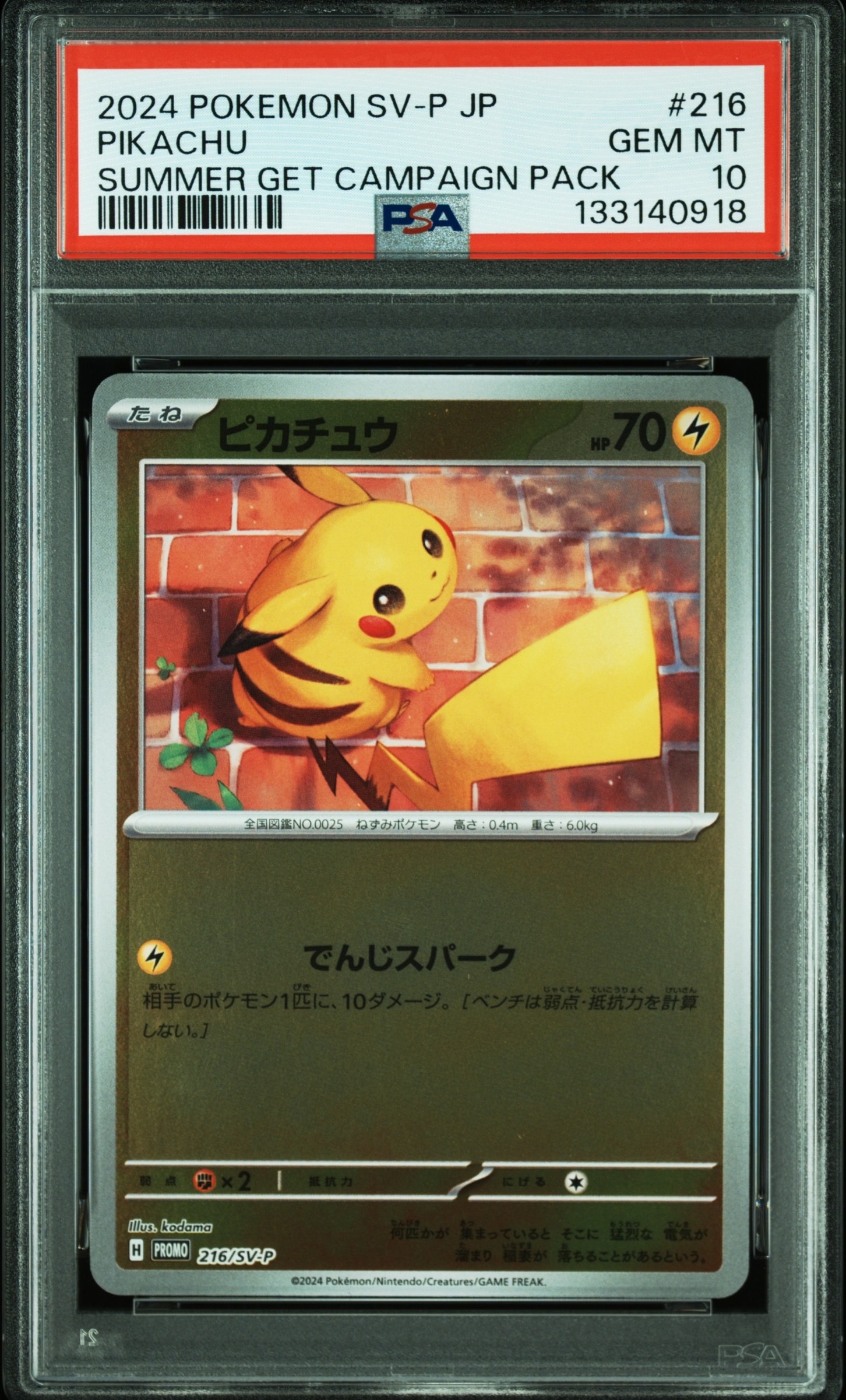 ピカチュウ P [SV-P 216](プロモカードパック「ポケカの夏がキタ!プロモカードGetキャンペーン!」)