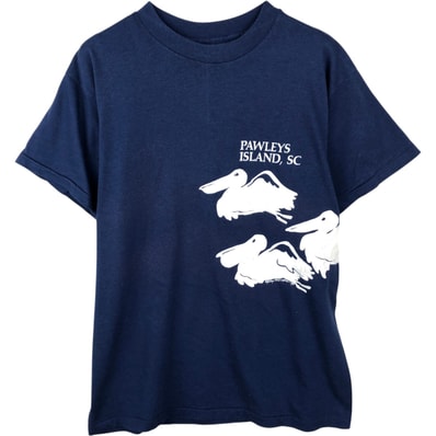 古着 80年代 ヘインズ Hanes Fifty-Fifty 青タグ プリントTシャツ USA製 メンズL相当 ヴィンテージ/eaa639097