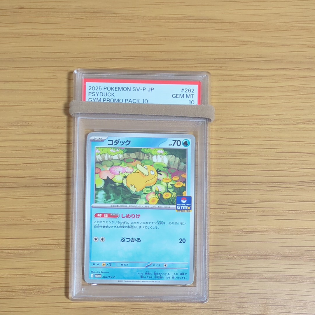 コダック P [SV-P 262](プロモカードパック「第10弾」)