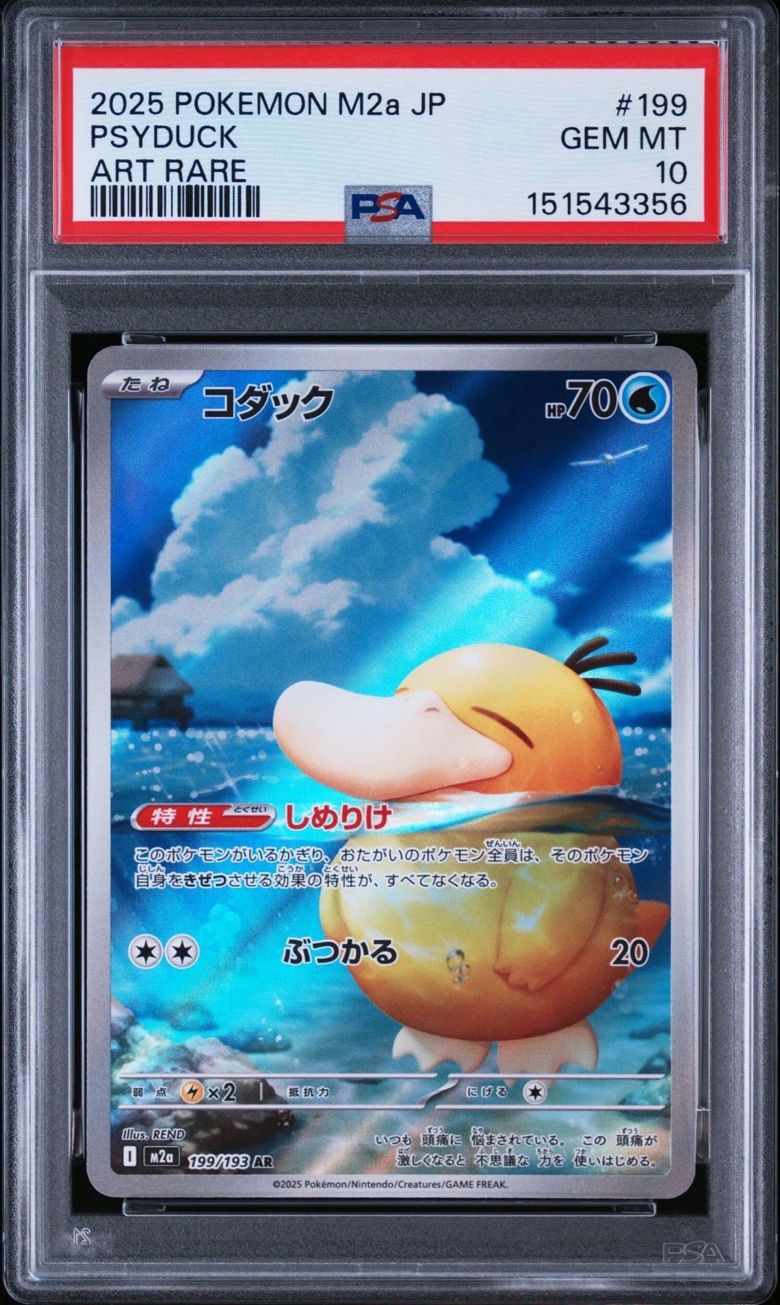 コダック AR [M2a 199/193](ハイクラスパック「MEGAドリームex」)