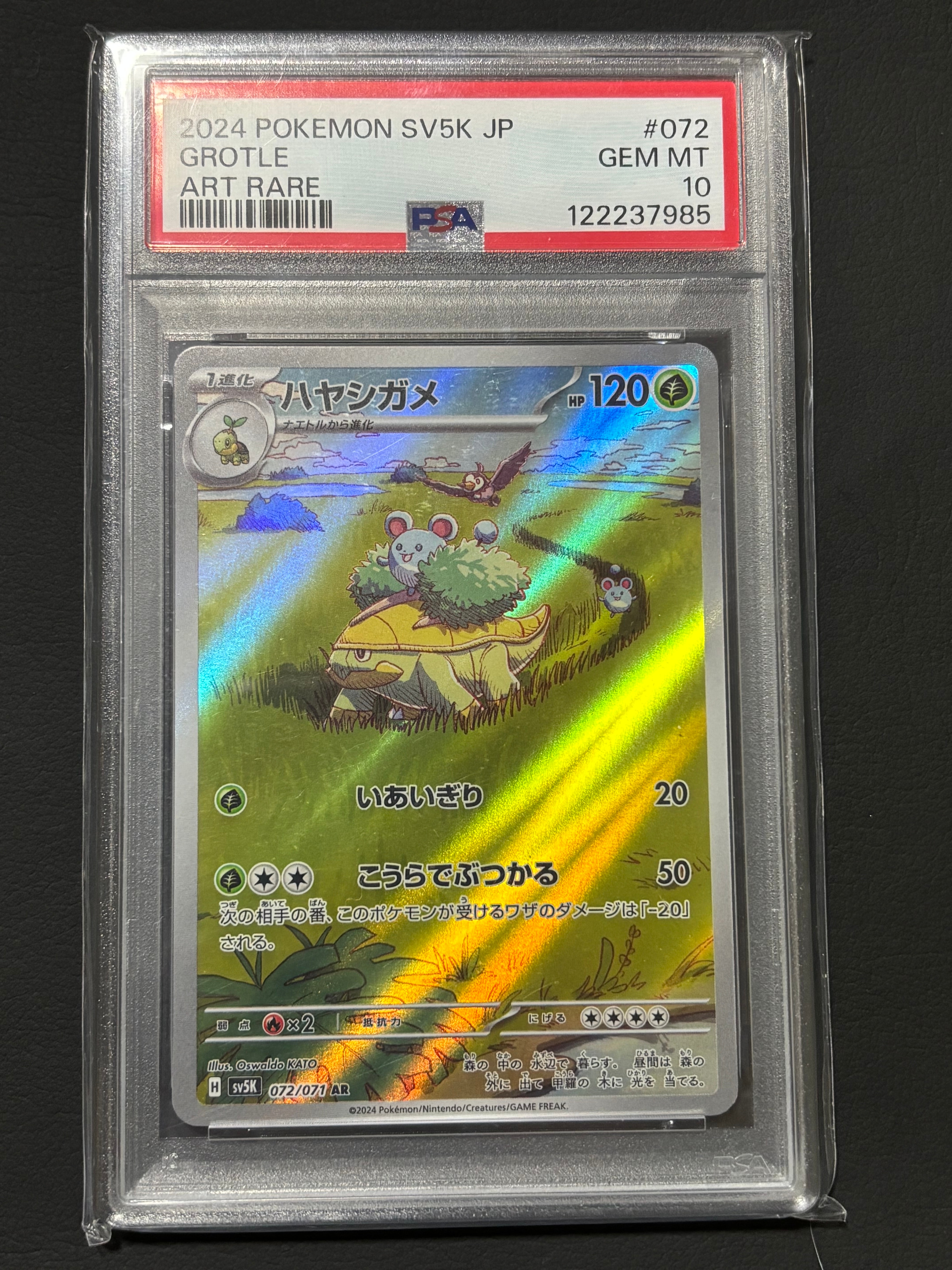 ハヤシガメ AR [SV5K 072/071](拡張パック「ワイルドフォース」)