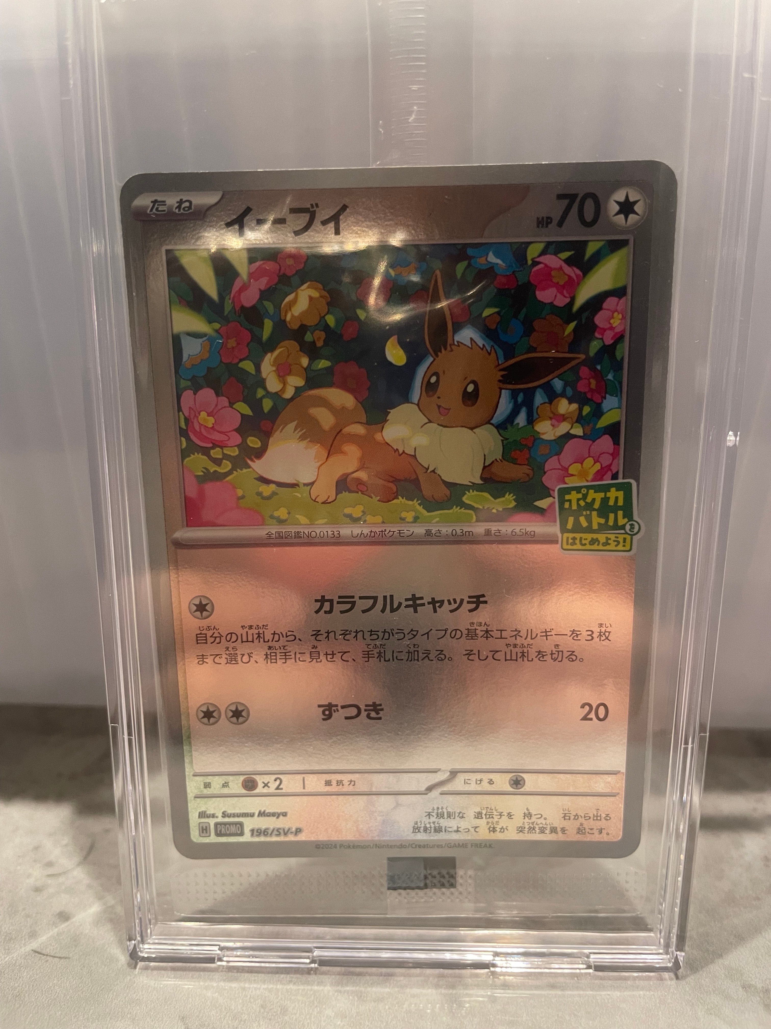イーブイ P [SV-P-SM 196](プロモカードパック「ポケカバトルをはじめよう!キャンペーン」)