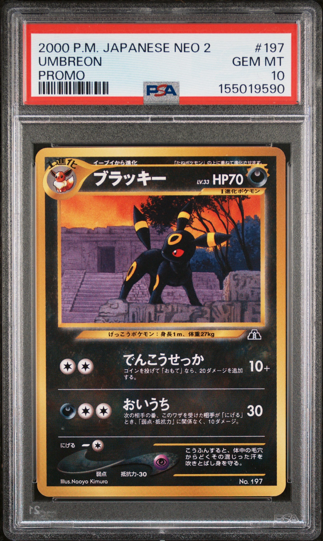 PSA8以下】ブラッキープレミアムファイル2: 旧裏[neoP2 No.197