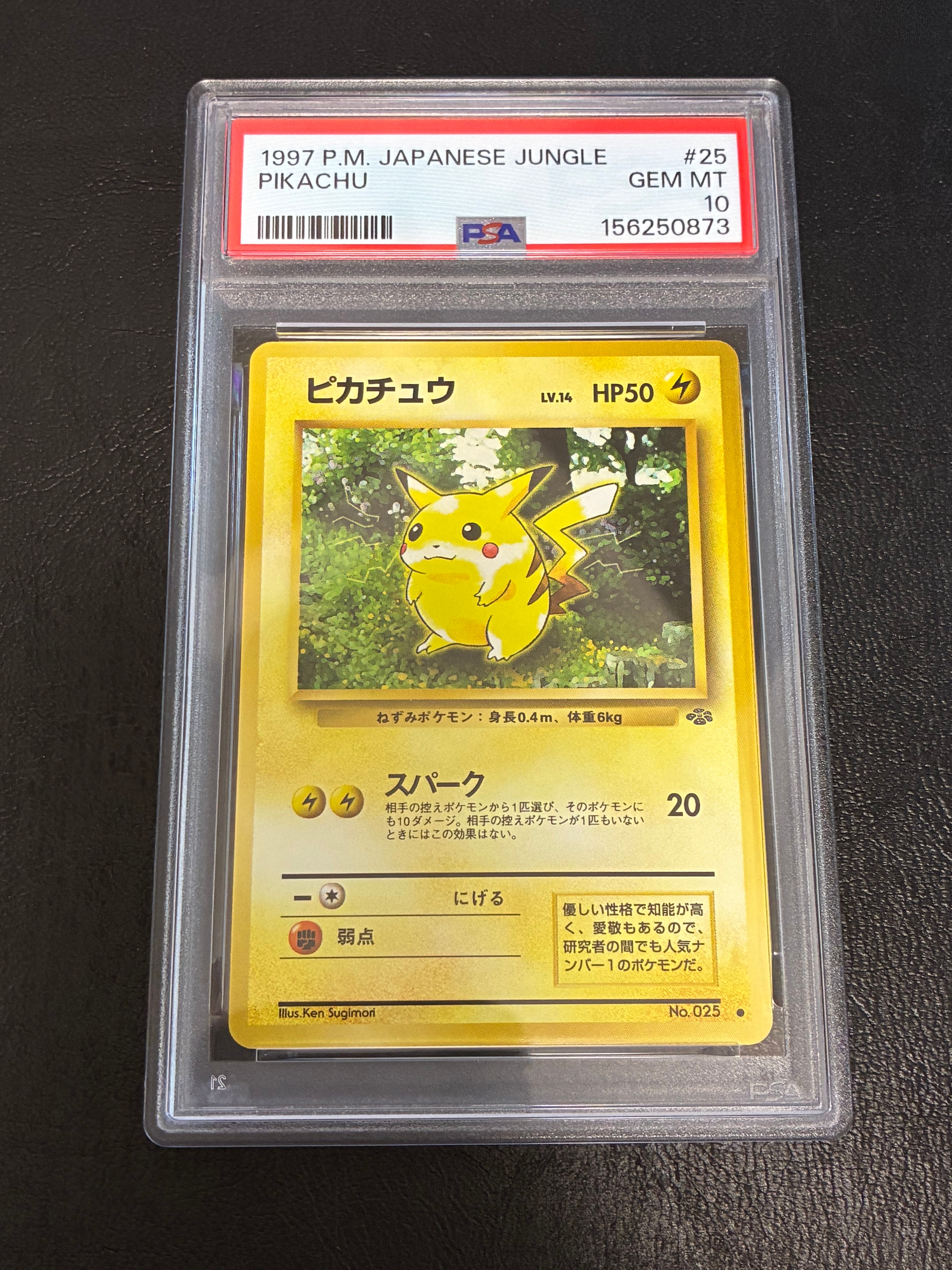 ピカチュウ ● : 旧裏 [PMCG2 No.025](拡張パック「ポケモンジャングル」)