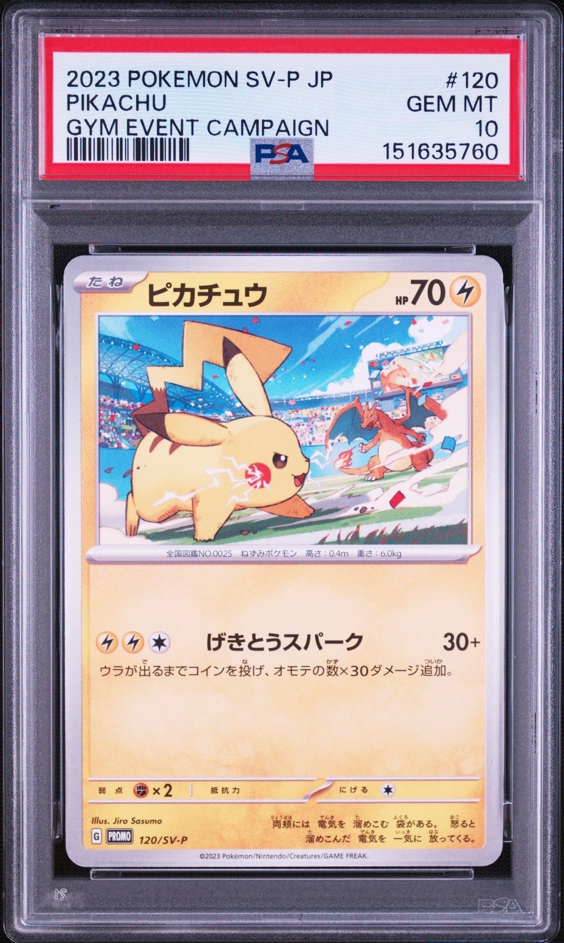 ピカチュウ: プロモ [SV-P 120](プロモーションカード「SV-P」)の新品