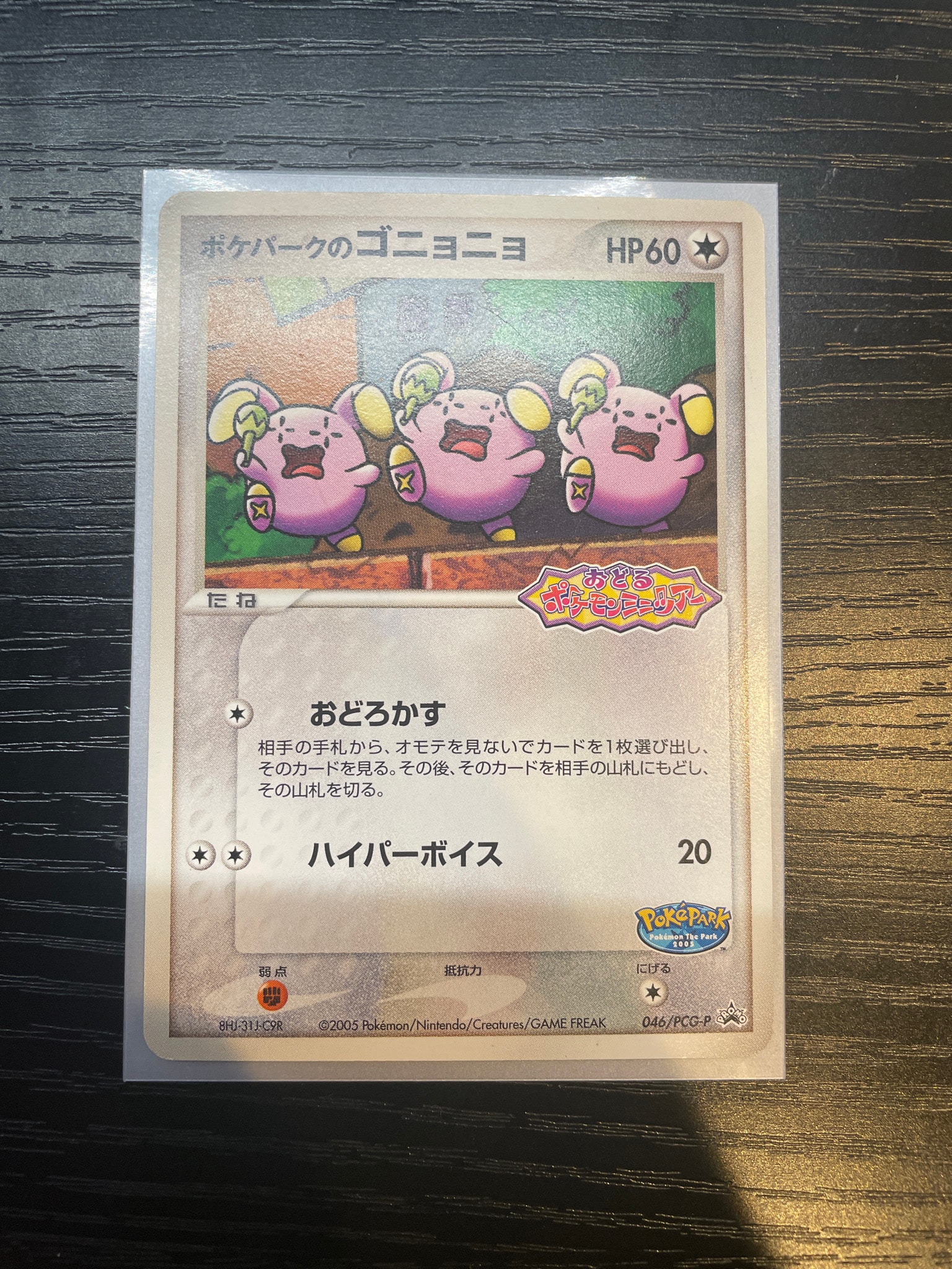 状態B】ポケパークのゴニョニョ P [PCG-P 046](プロモーションカード