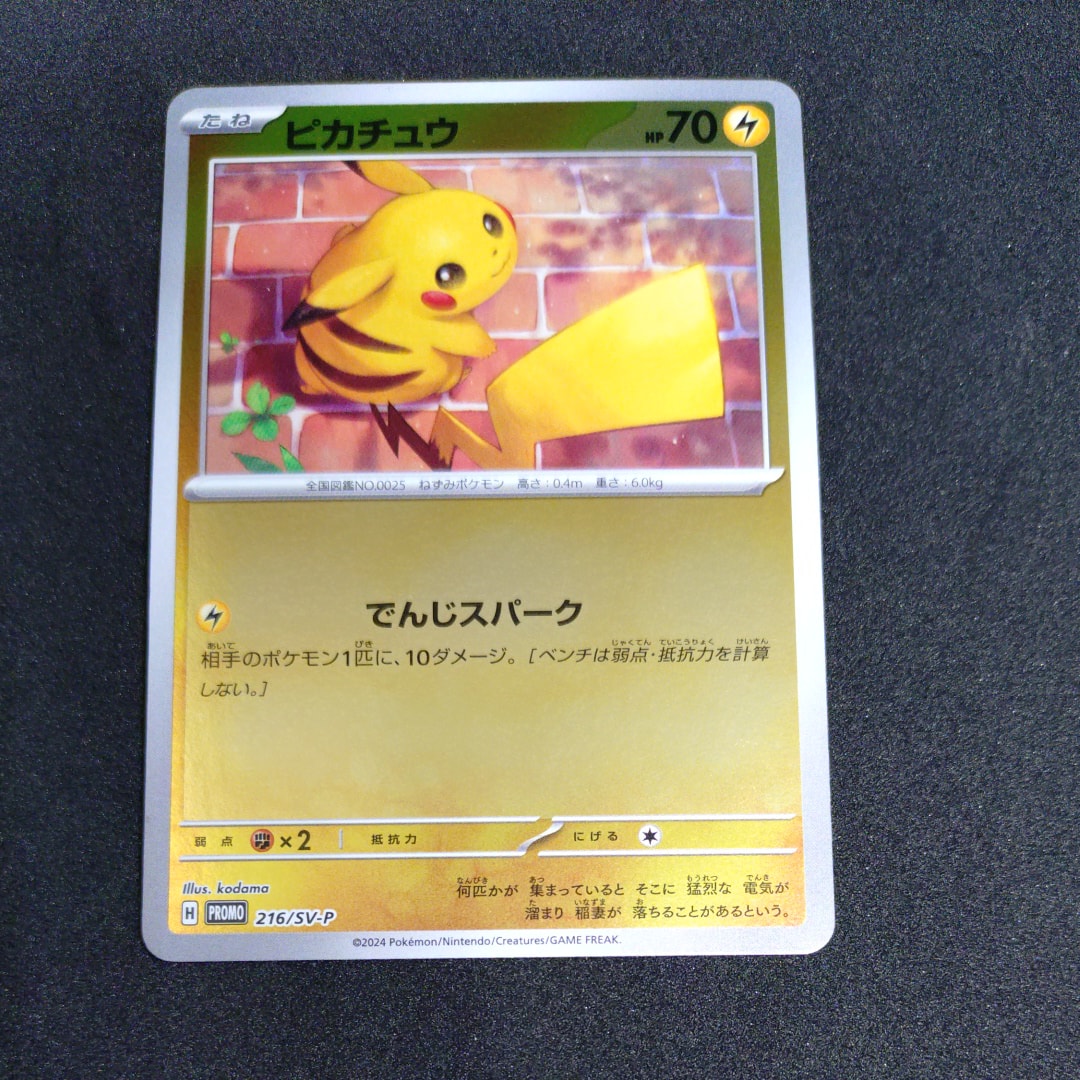 ピカチュウ P [SV-P 216](プロモカードパック「ポケカの夏がキタ!プロモカードGetキャンペーン!」)