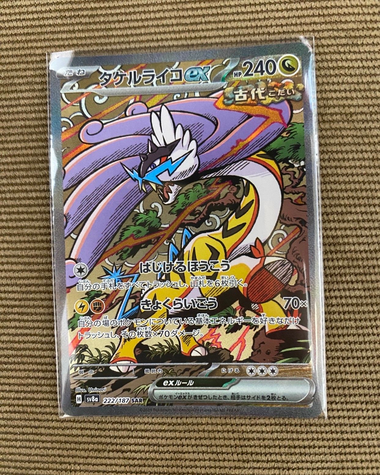 タケルライコex SAR [SV8a 222/187](ハイクラスパック「テラスタルフェスex」)