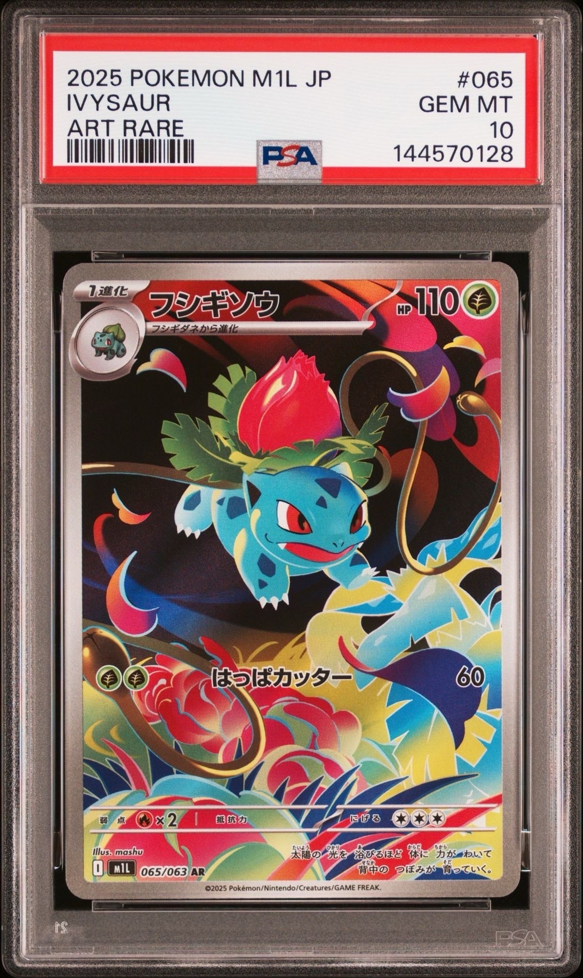 ヨコハマのピカチュウ: プロモ[SM-P 282](プロモーションカード「SM-P