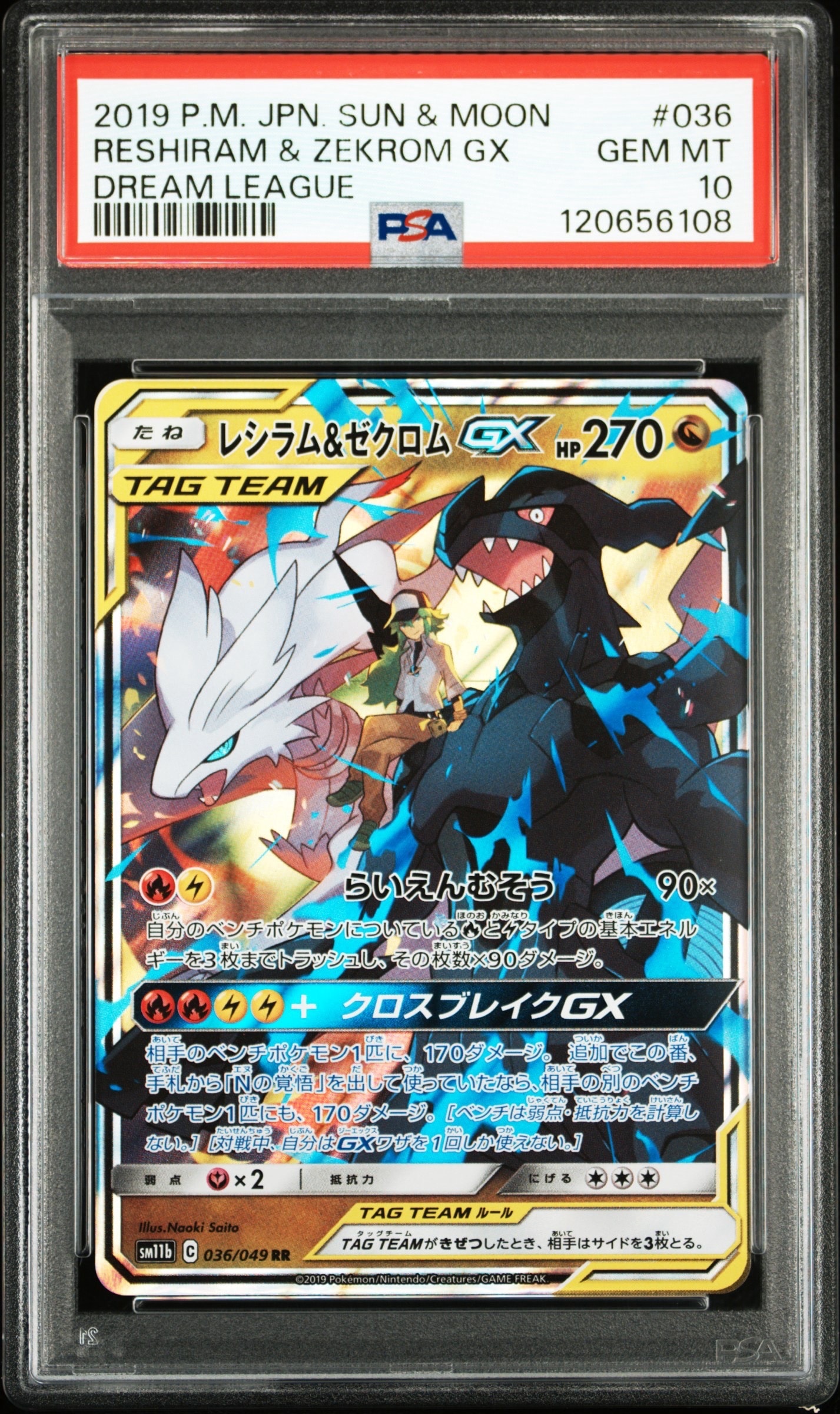 レシラム&ゼクロムGX (N) RR[SM11b 036/049](強化拡張パック「ドリームリーグ」)