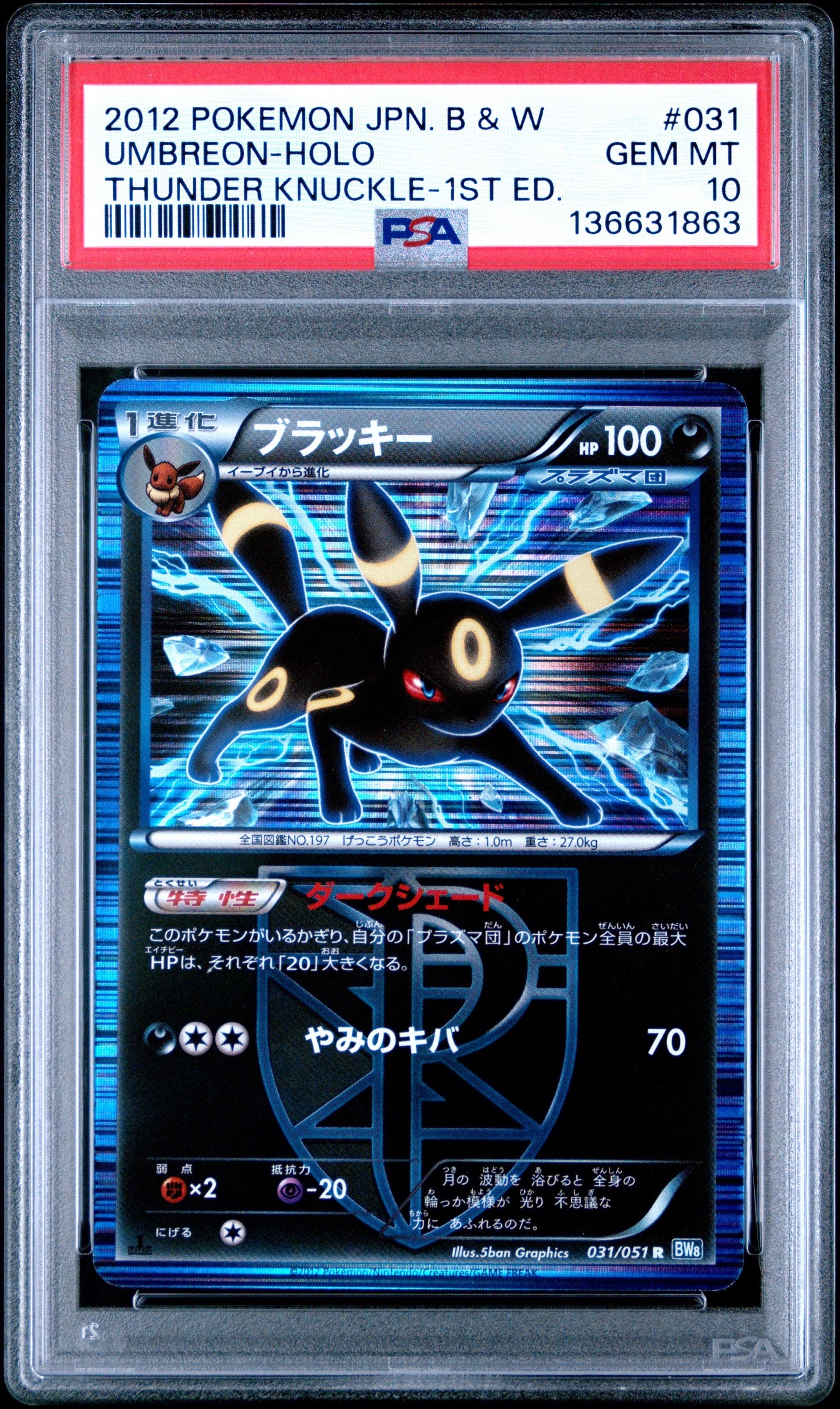 ブラッキー R :1ED [BW8 031/051](拡張パック「ライデンナックル」)