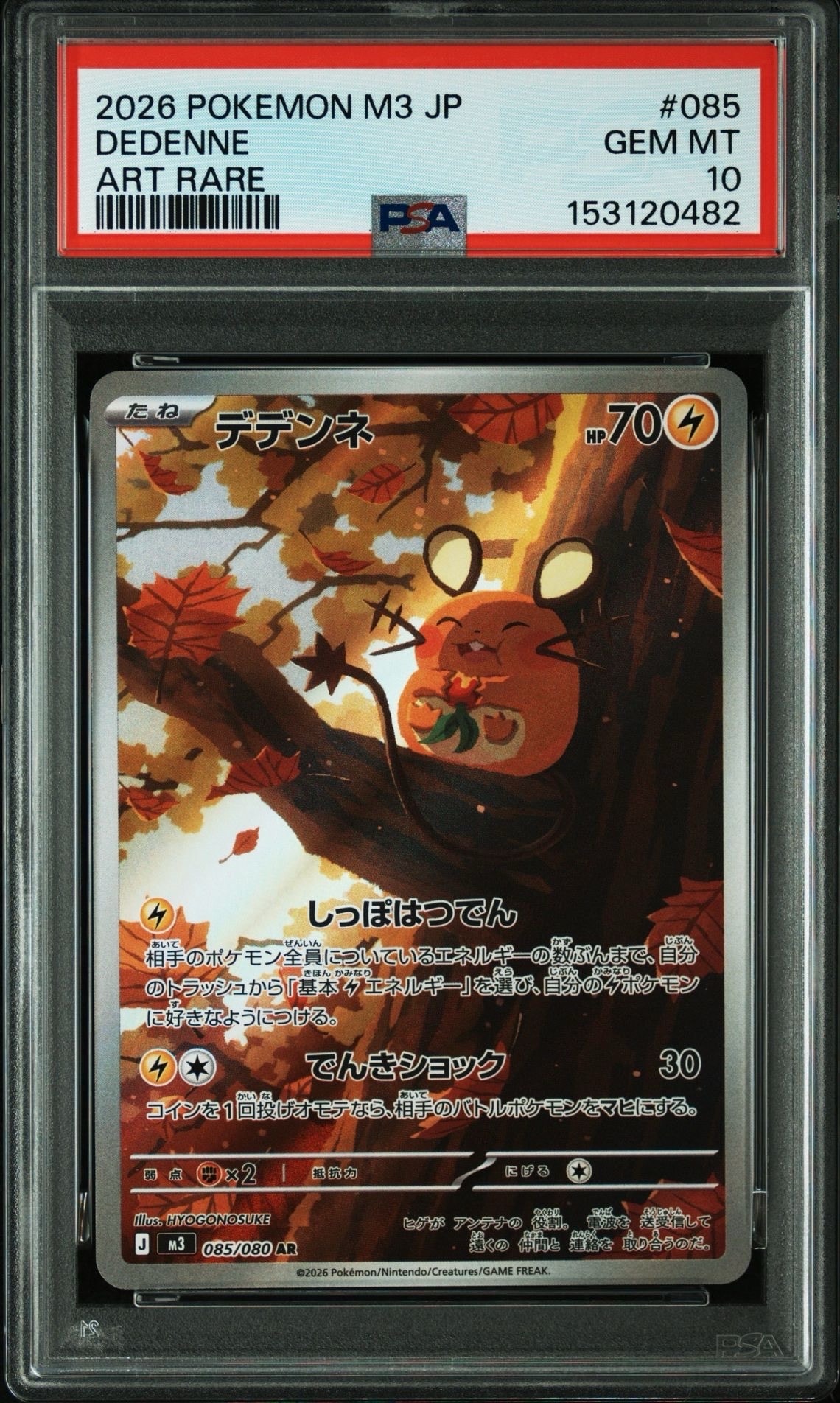 デデンネ AR [M3 085/080](拡張パック「ムニキスゼロ」)の新品/中古