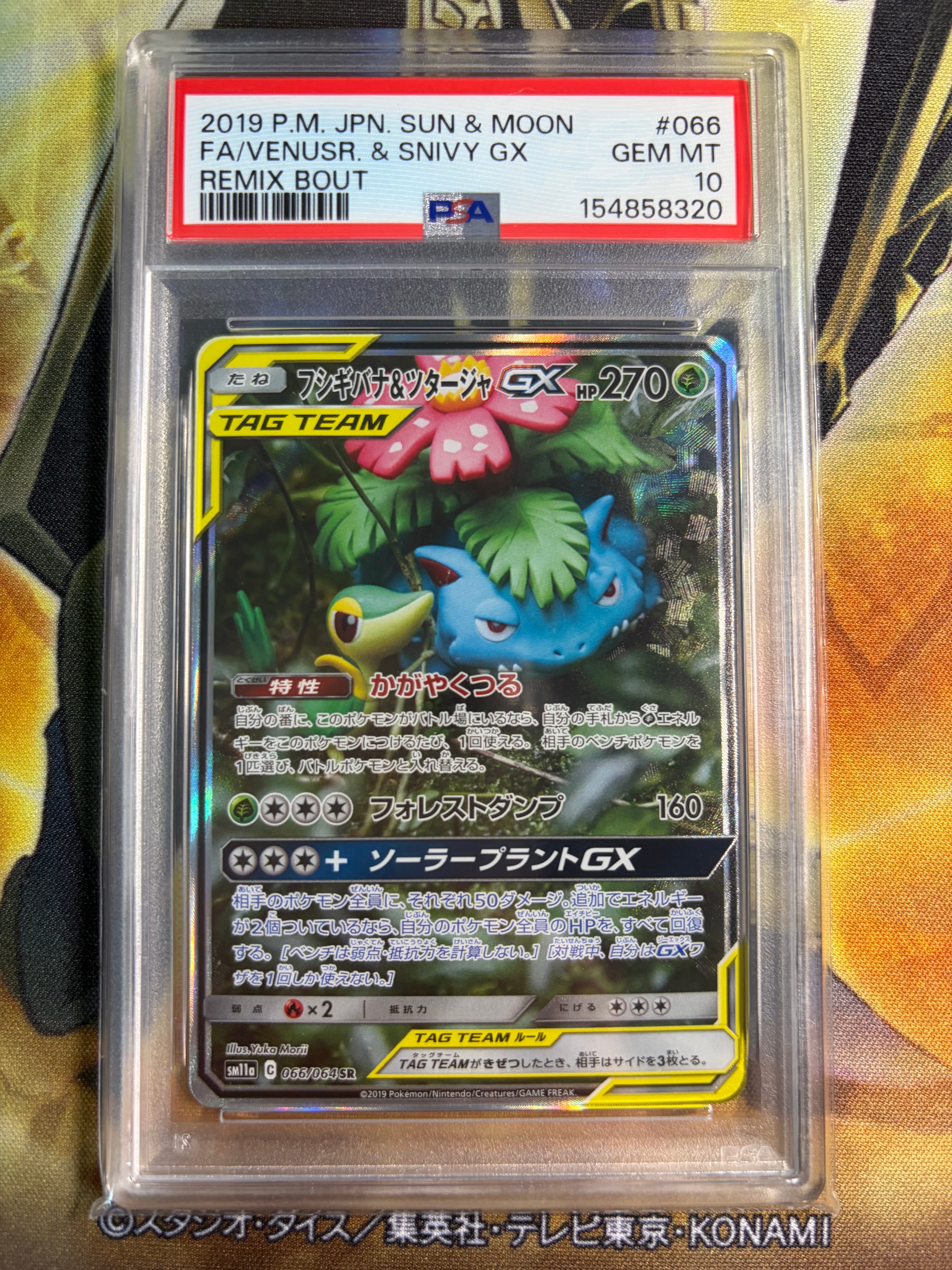 フシギバナ&ツタージャGX SR: SA[SM11a 066/064](強化拡張パック