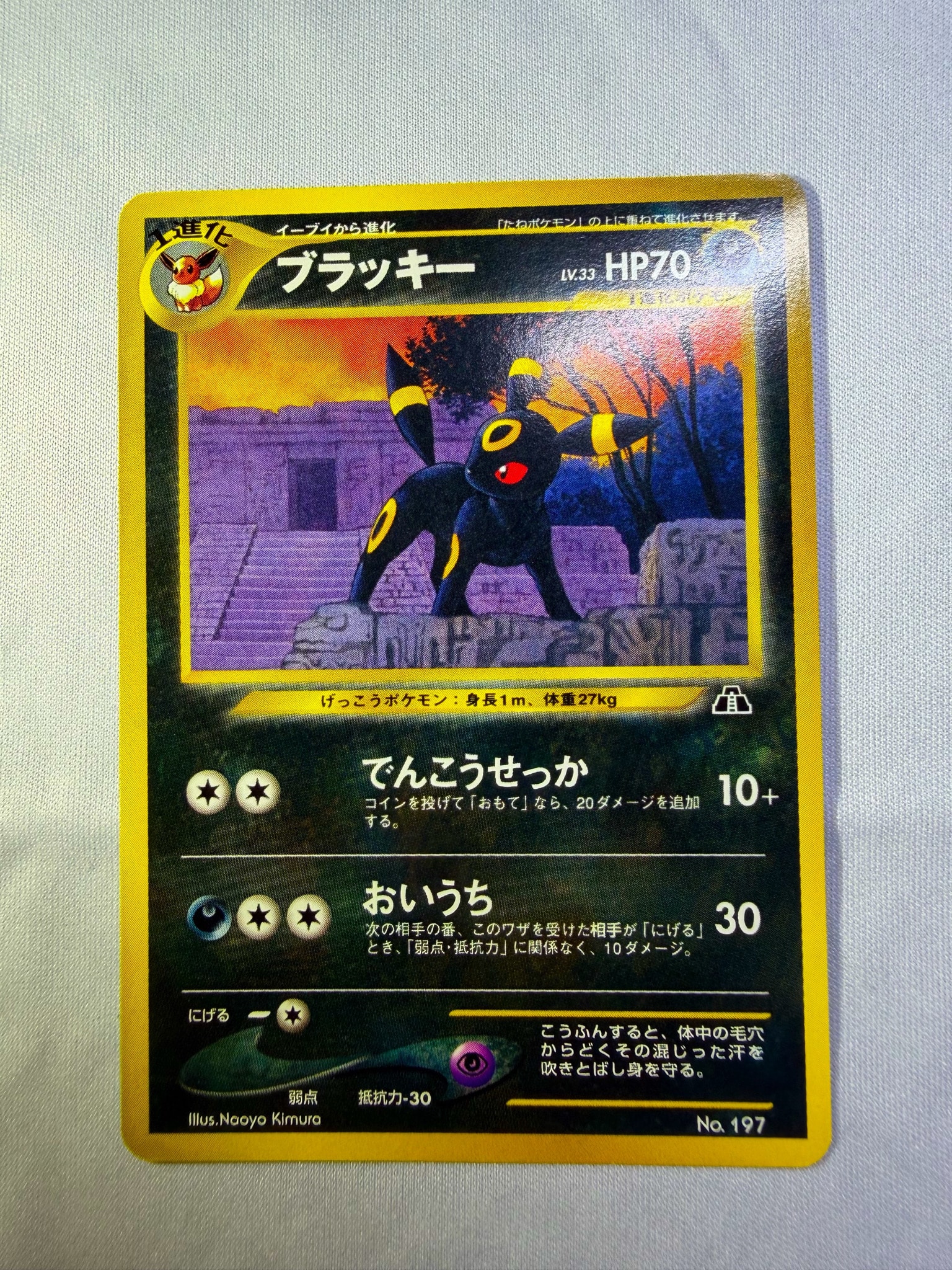 PSA10】ブラッキープレミアムファイル2: 旧裏[neoP2 No.197