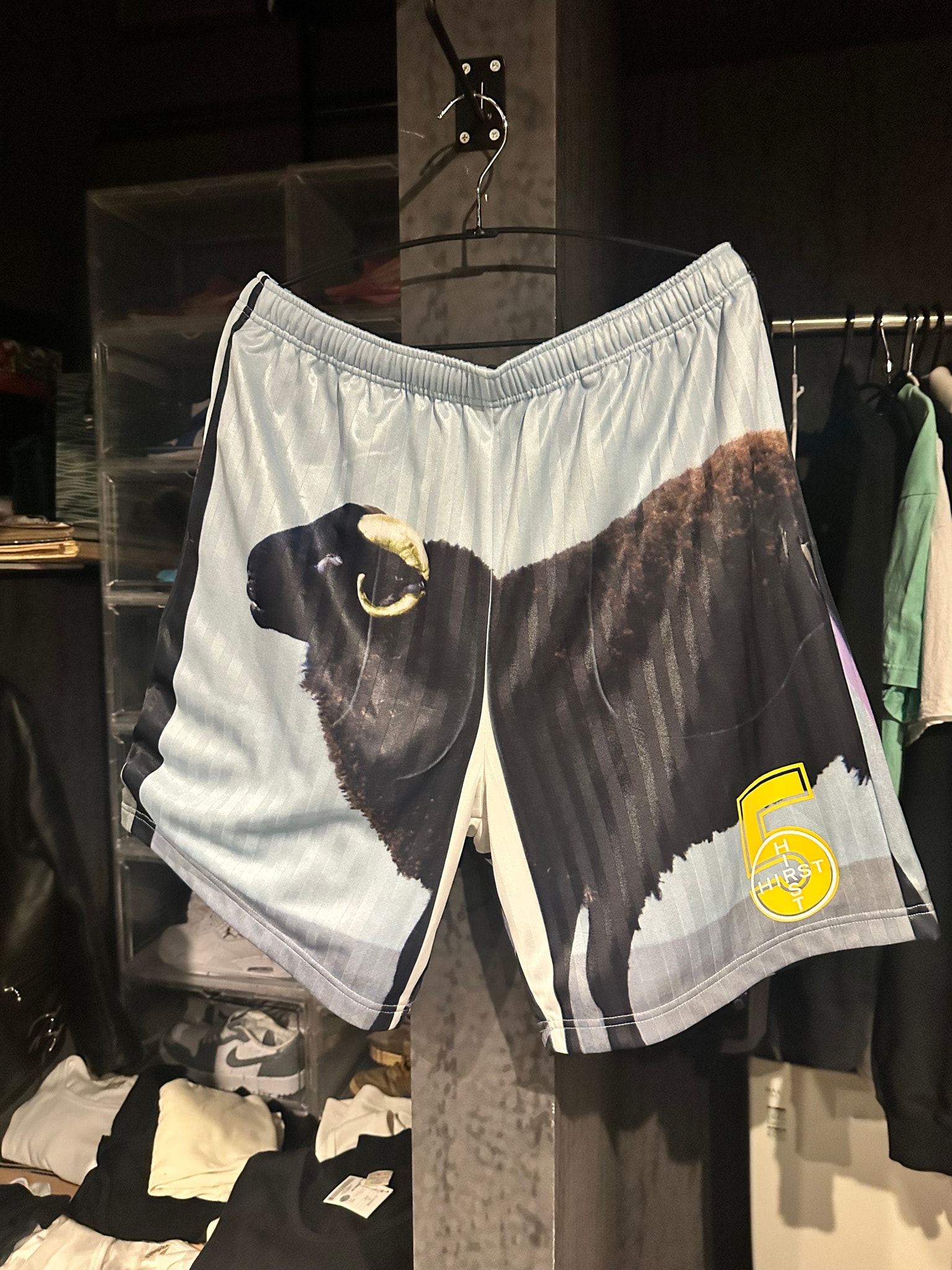 Supreme x Damien Hirst Soccer Short 
