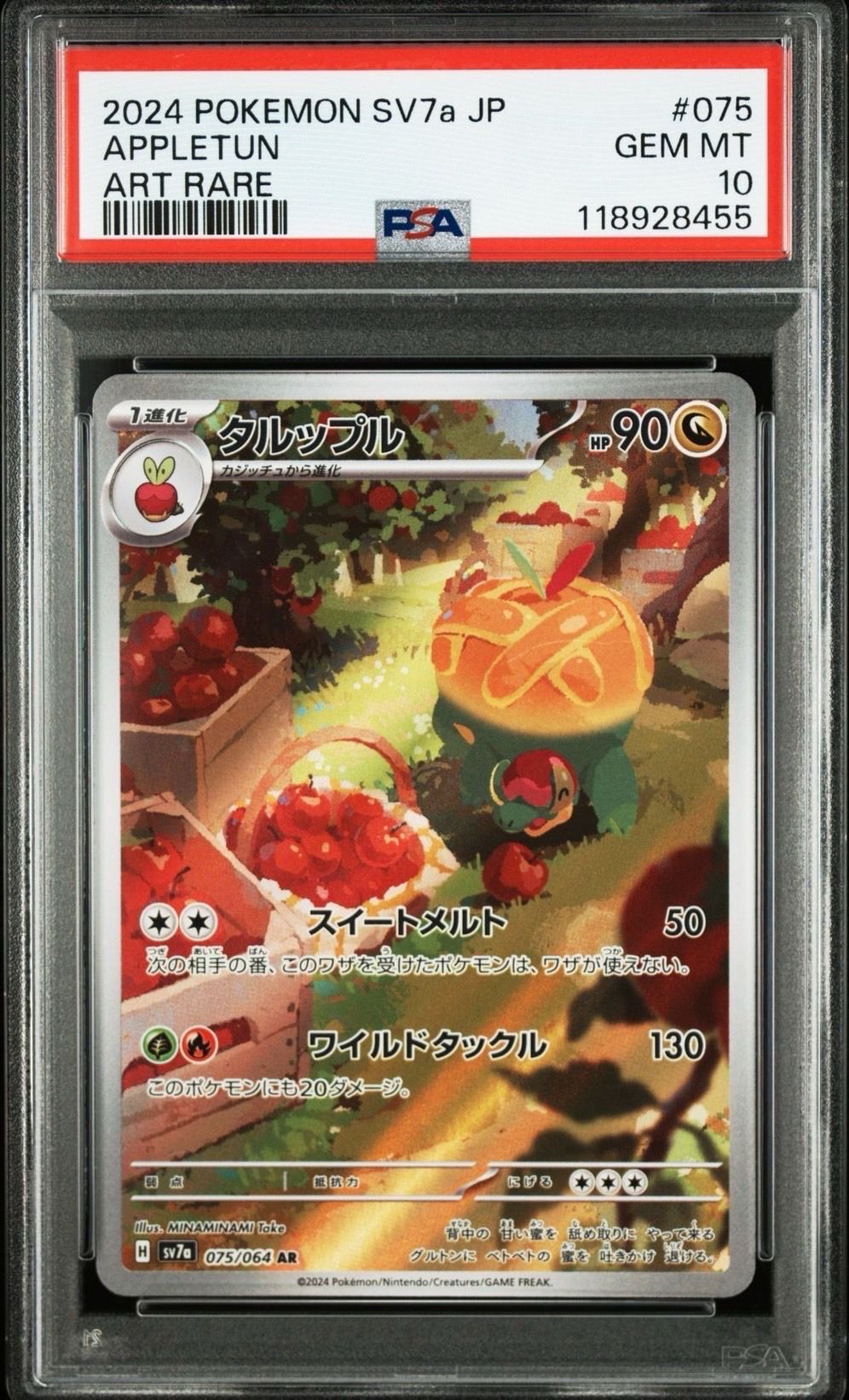 タルップル AR [SV7a 075/064](強化拡張パック「楽園ドラゴーナ」)