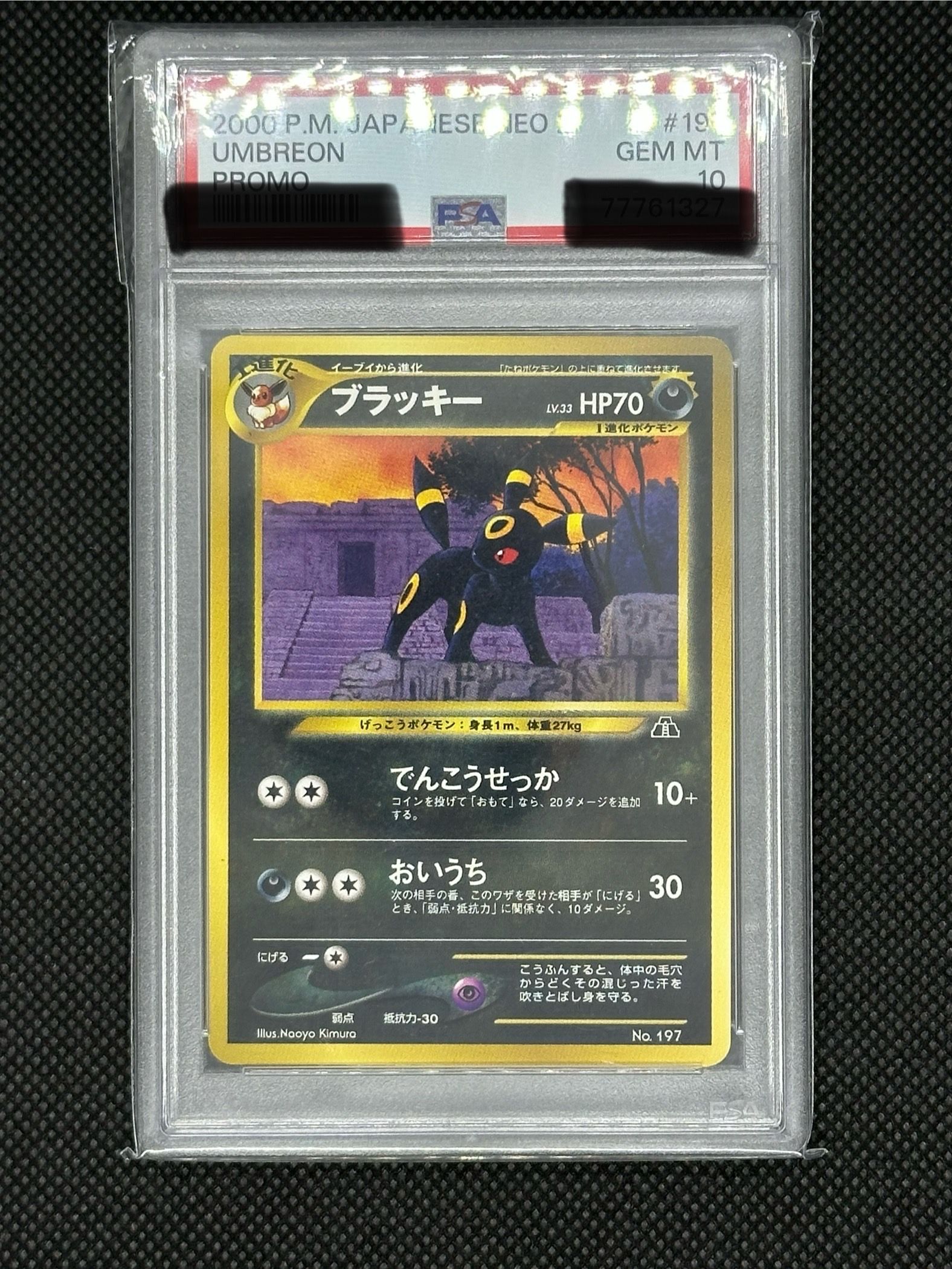 ブラッキープレミアムファイル2: 旧裏[neoP2 No.197](プレミアムファイル2)