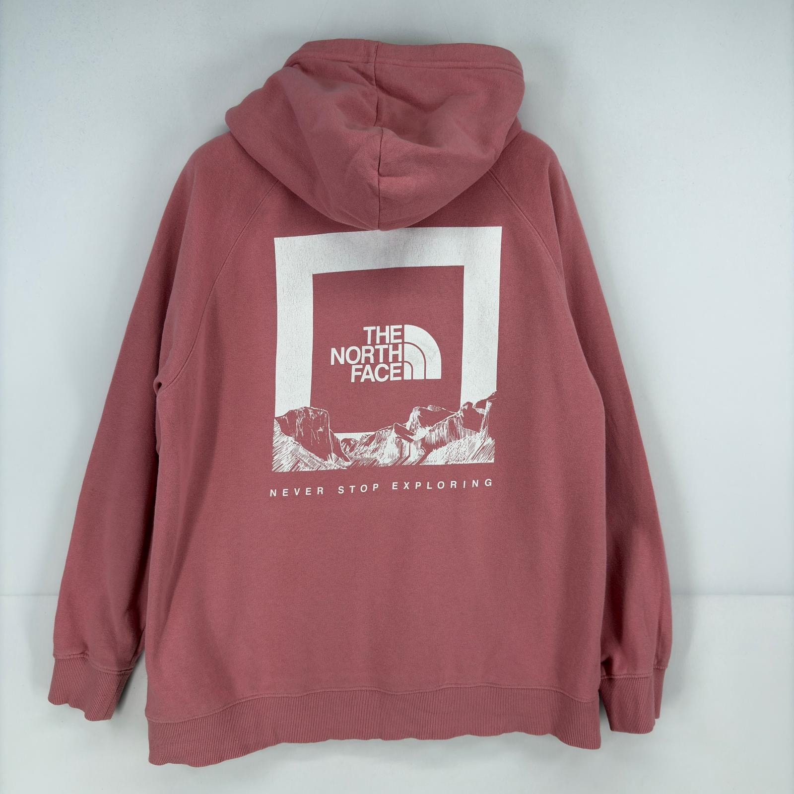 古着 ザ・ノースフェイス THE NORTH FACE パーカー スウェット プルオーバー ロゴ プリント バックプリント L  ピンク レディース